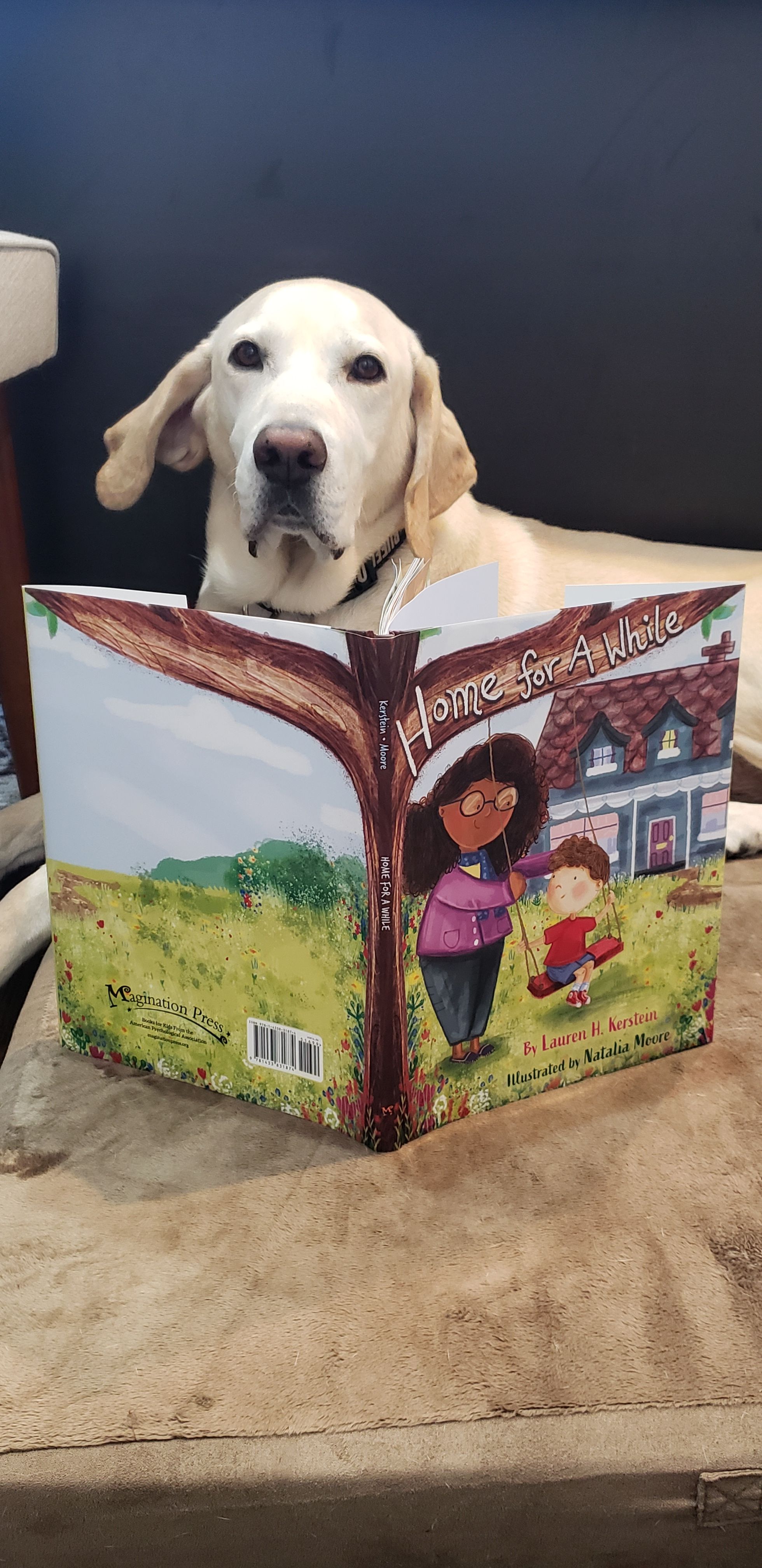 Dog lying on a surface behind a colorful children's book with a house and children illustration.