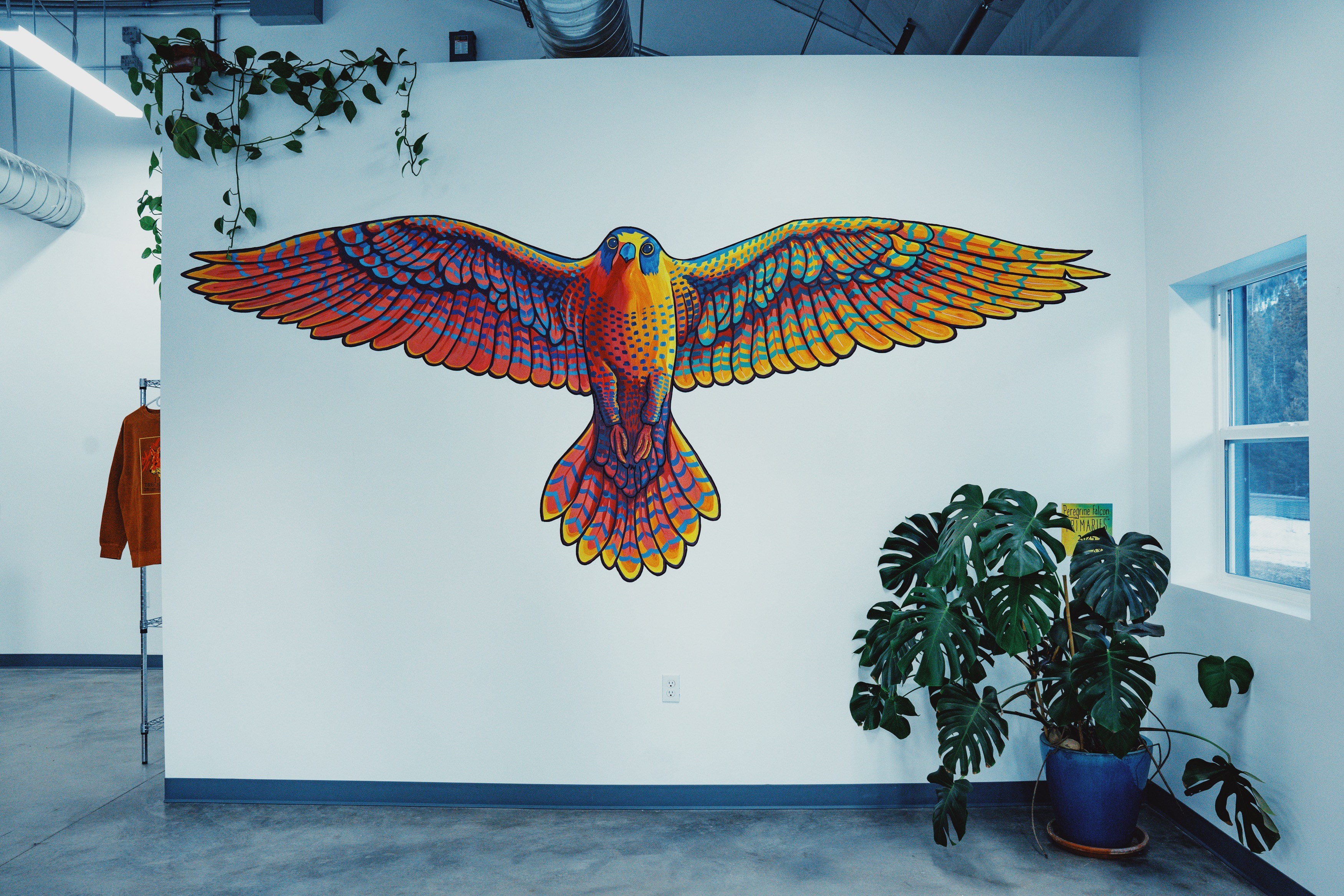 Colorful bird mural with outstretched wings on a white wall, with a plant in a pot nearby and a window to the right.
