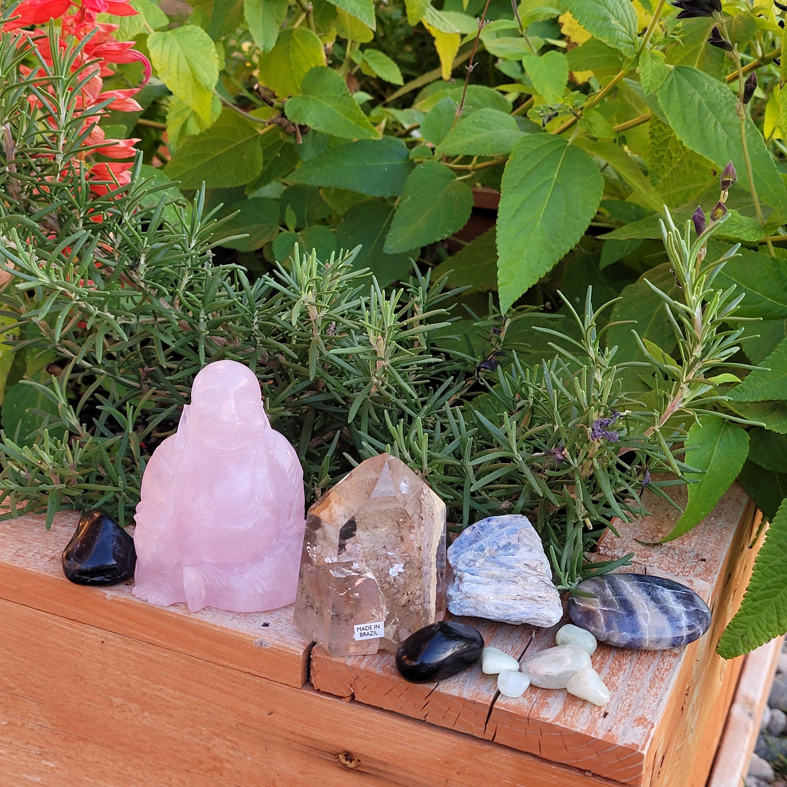 Collection of crystals and stones on a wooden surface with green leafy plants in the background.