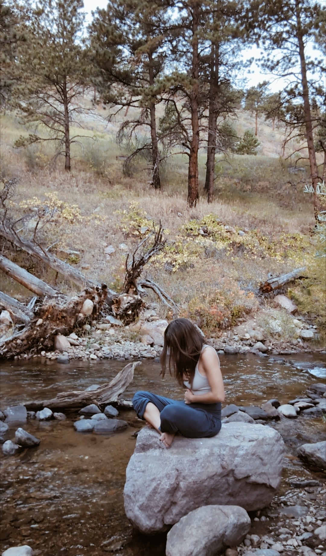 Person sitting on a large rock in a shallow creek surrounded by trees and natural landscape.