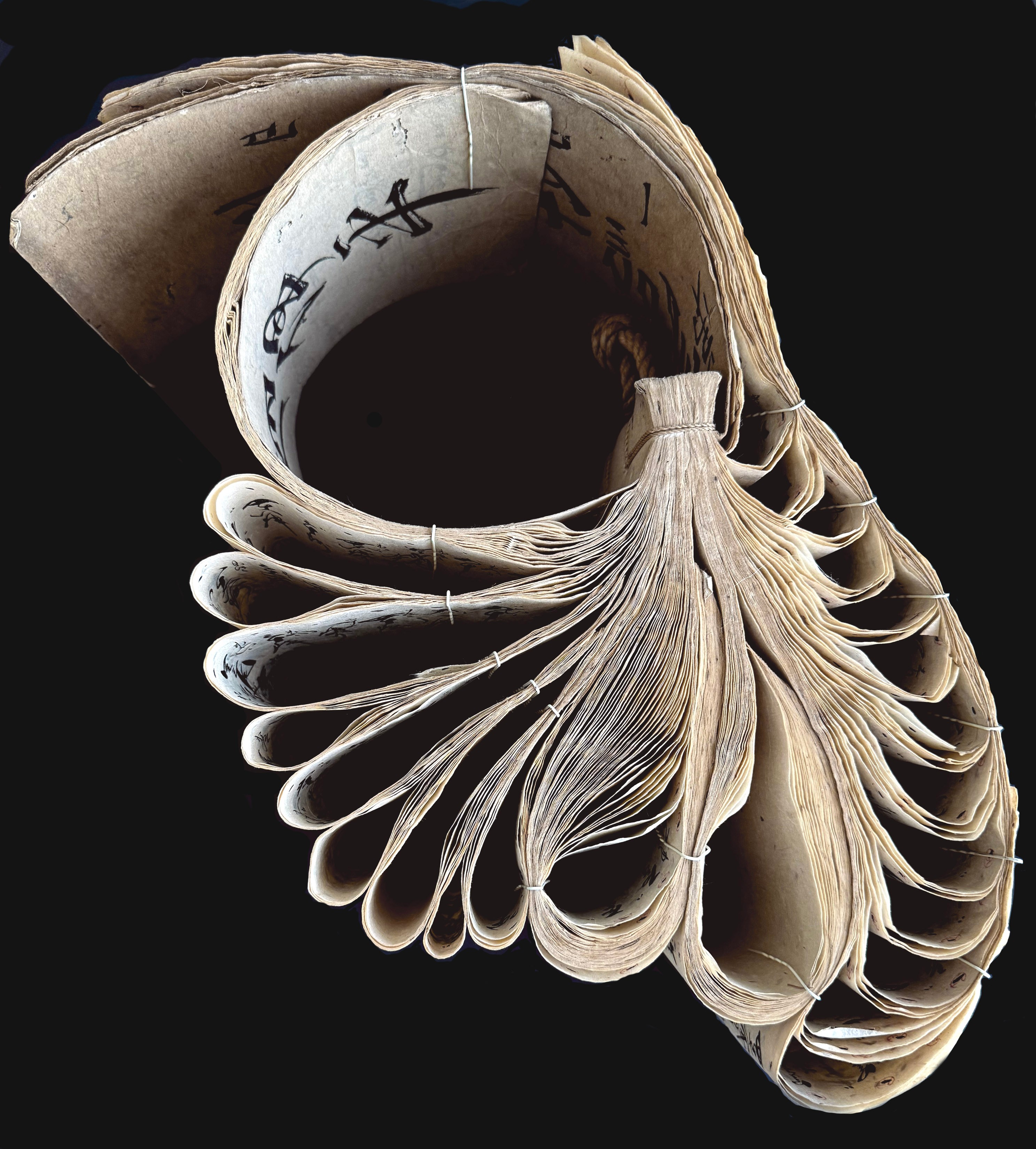 Open book with pages folded into a spiral shape, resembling a shell or flower, against a black background.