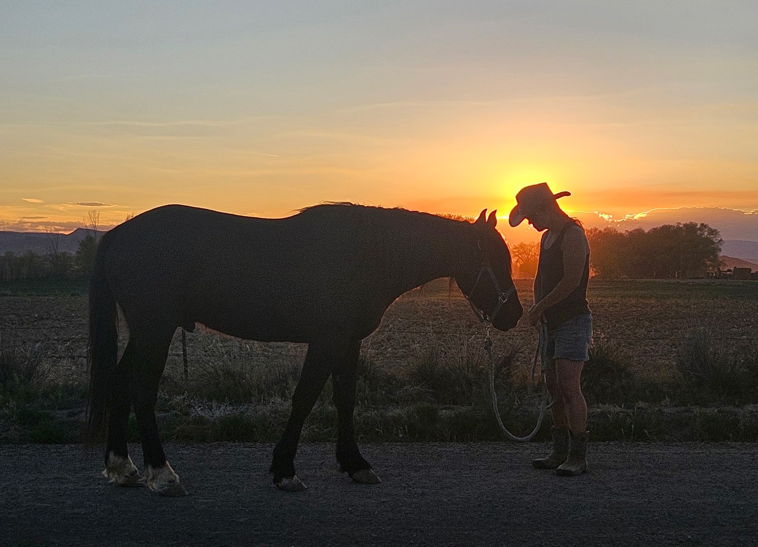 Person holding a horse's lead at sunset with a bright sky and landscape in the background.