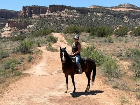 Person riding a horse on a dirt trail in a desert landscape with cliffs and sparse vegetation.