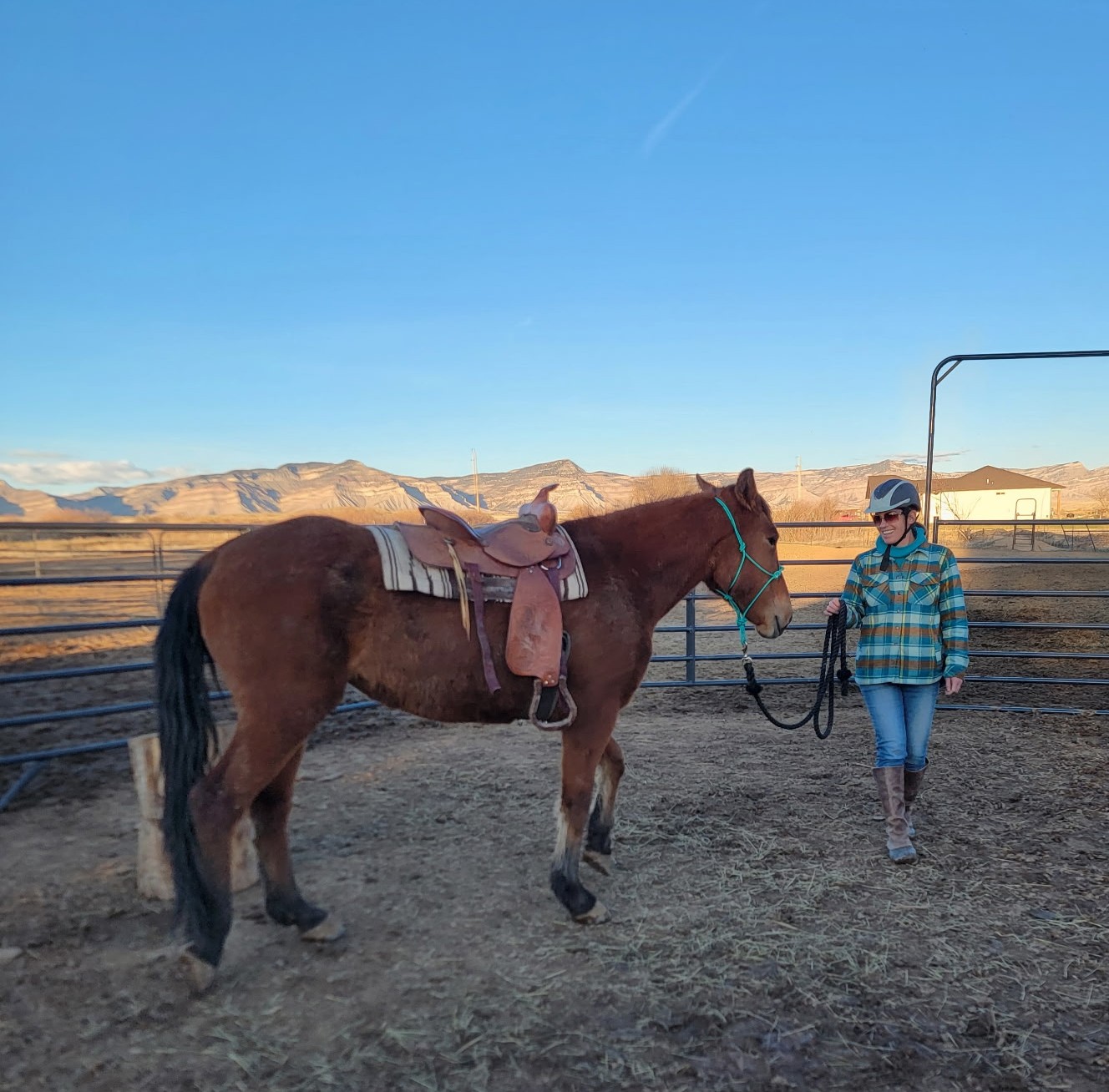 Person holding a horse's reins in an outdoor riding arena with mountains in the background.