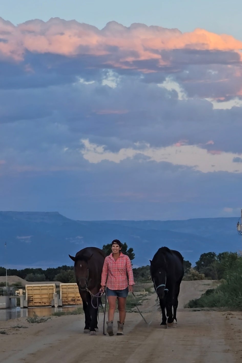 Person walking with two horses on a dirt path, landscape with mountains and cloudy sky in background.