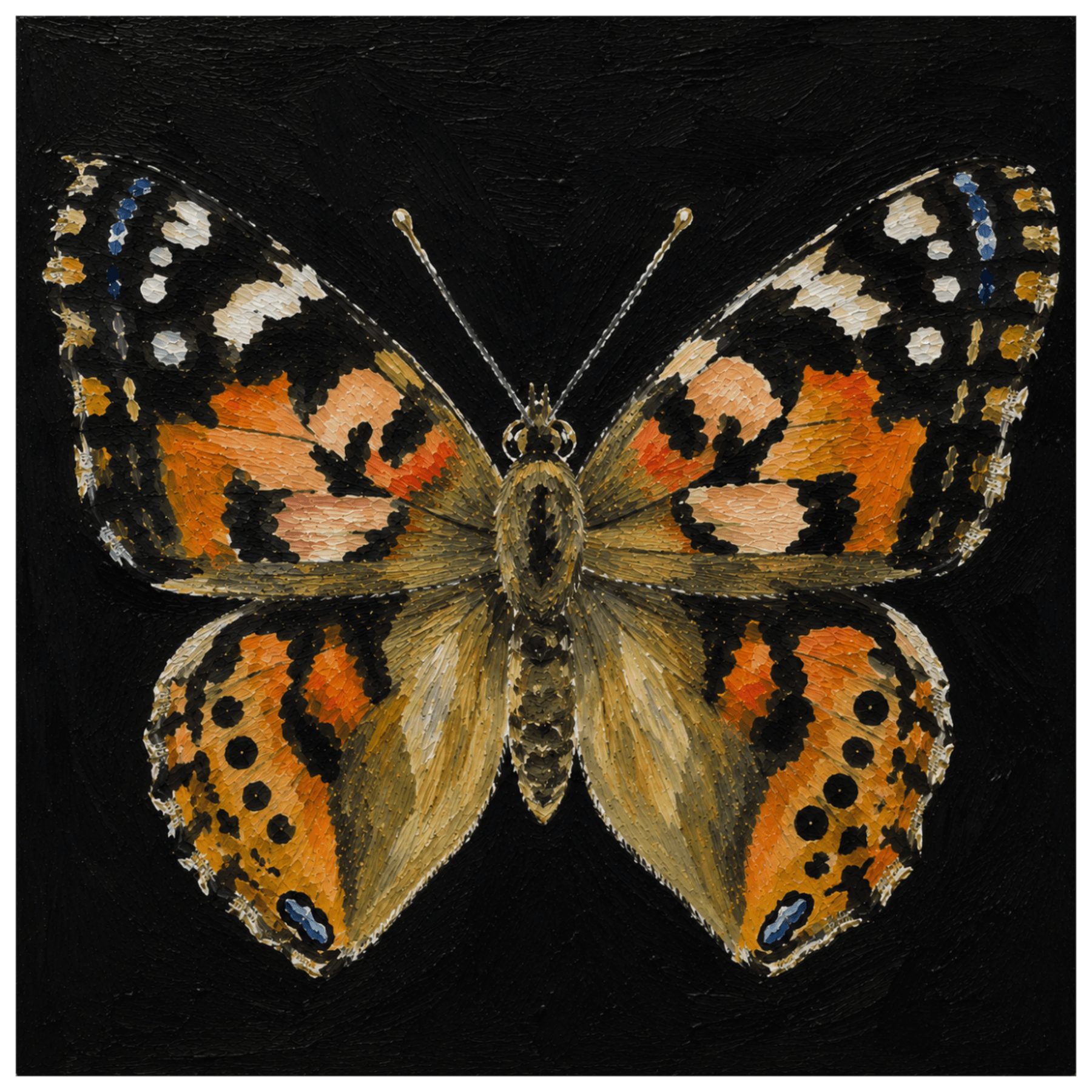 Colorful butterfly with orange, black, white, and blue patterns on black background.