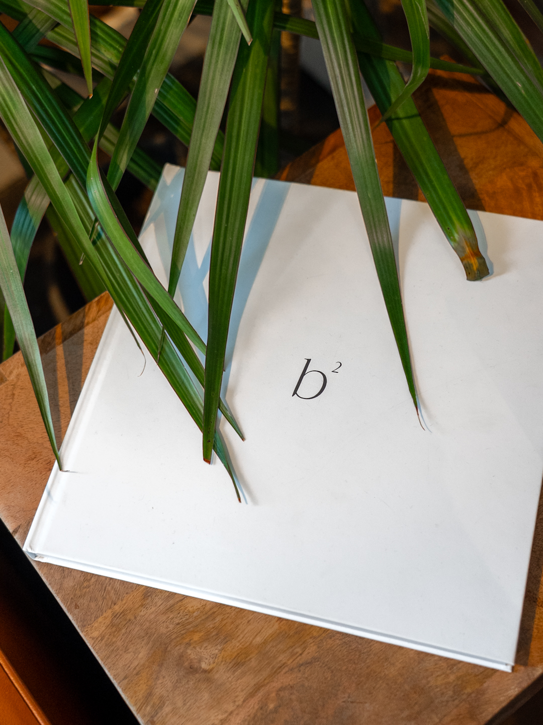 White book with a lowercase 'b' and superscript 2 on the cover, partially covered by green plant leaves, on a wooden surface.