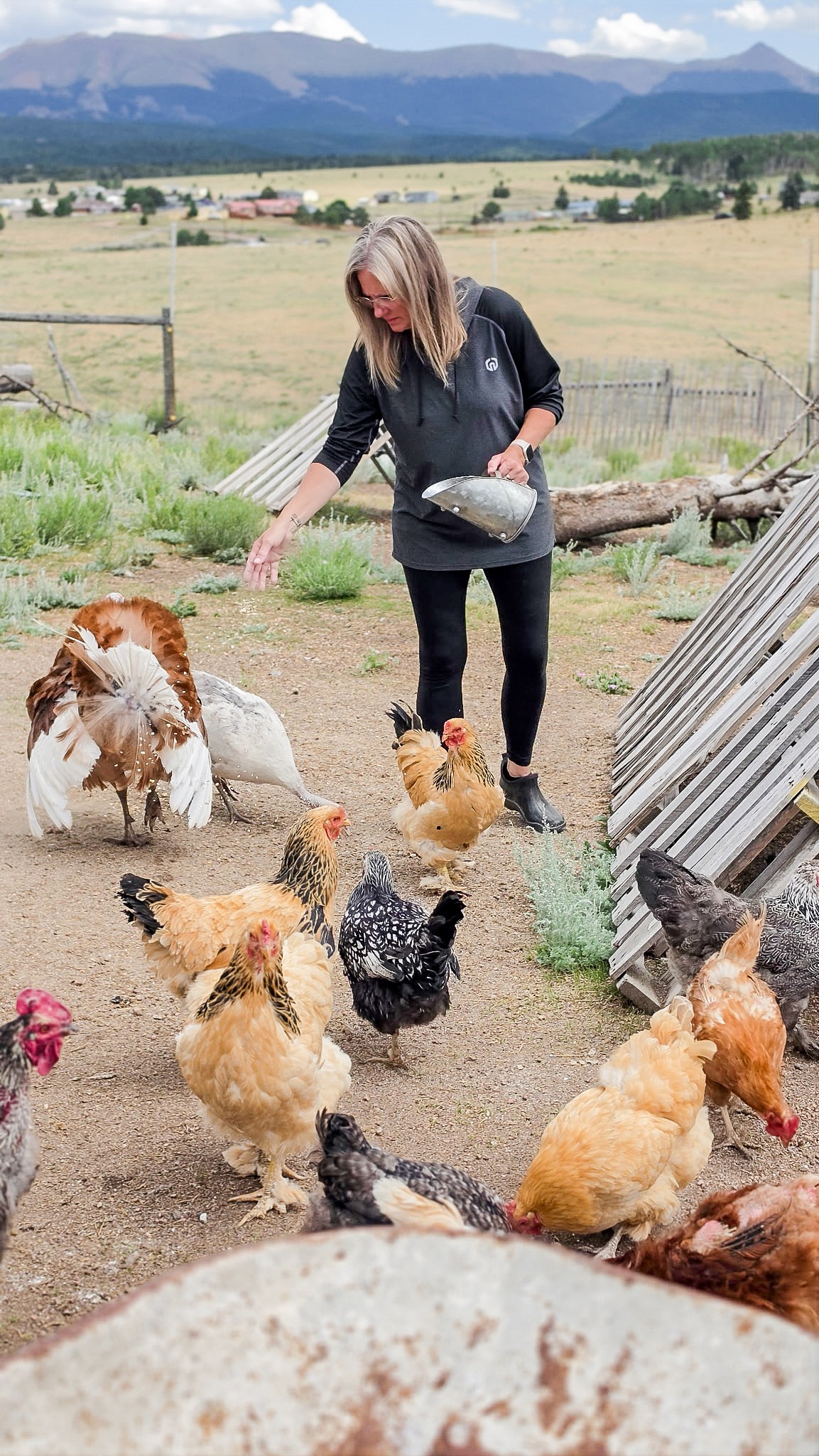 Woman feeding chickens in a farmyard with fields and mountains in the background.