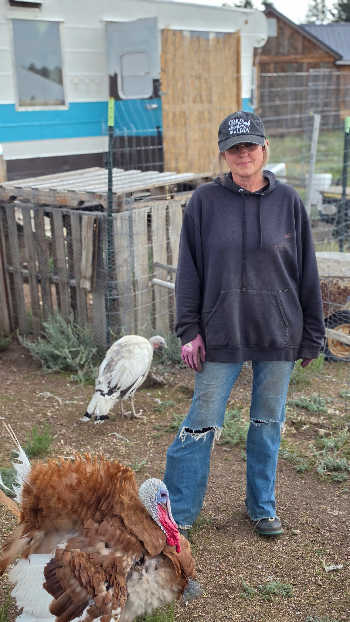 Person standing outdoors with a turkey and a swan nearby, in a yard with a wooden fence and house in background.