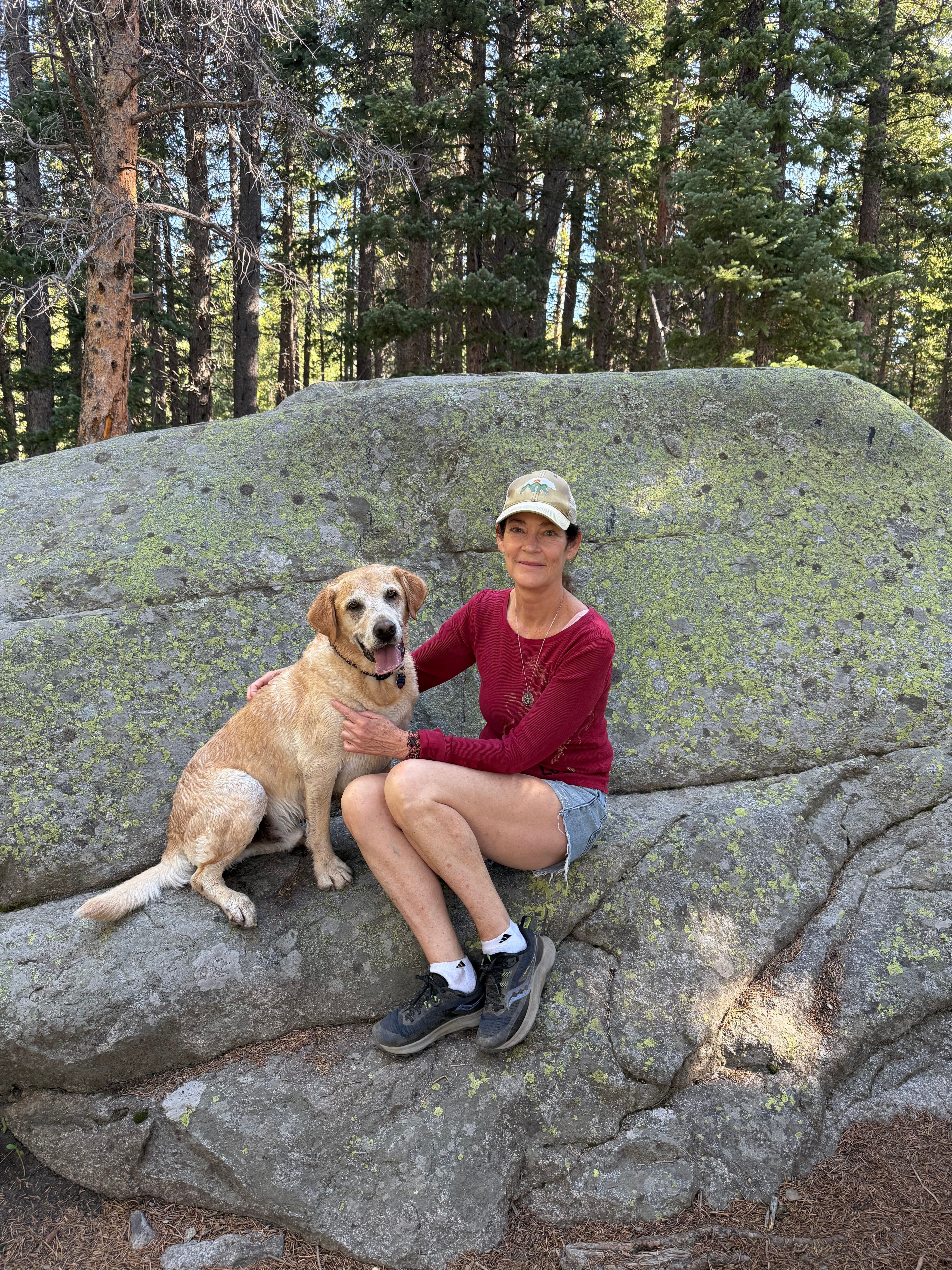 Person sitting on a large rock with a dog, surrounded by trees in a forest setting.