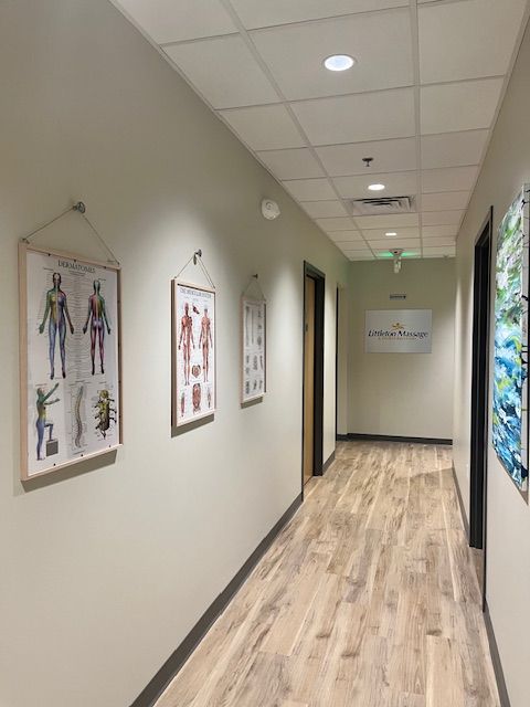 Hallway with white tiled ceiling, wooden floor, framed anatomical posters on white wall, and a door at the end.