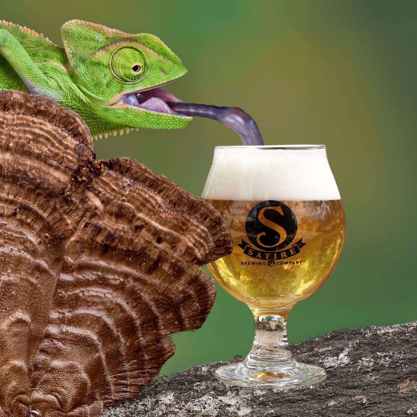 Green chameleon drinking from a glass of beer on a textured surface, with a blurred green background.