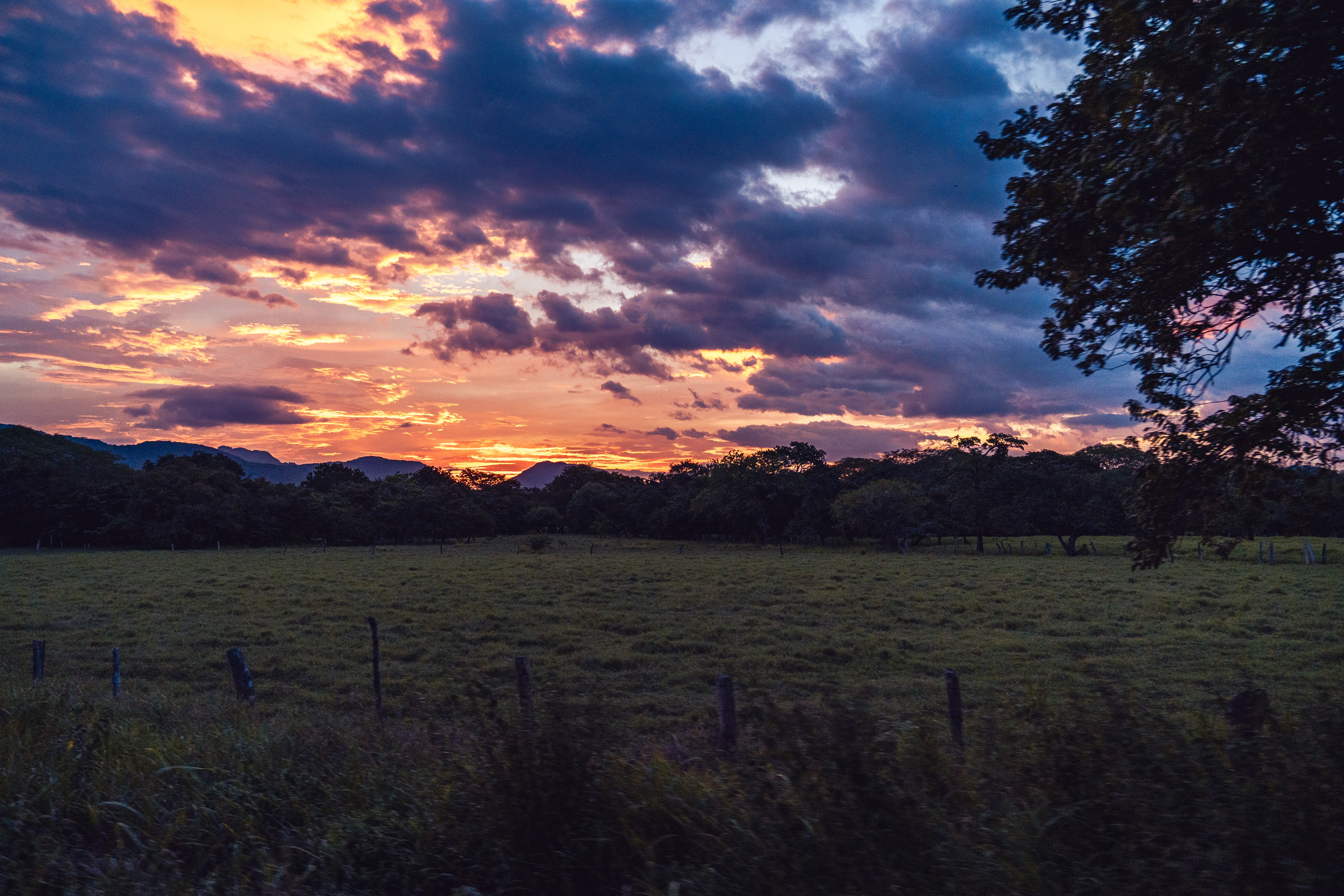 Sunset sky with colorful clouds over a grassy field and trees, with a fence in the foreground.