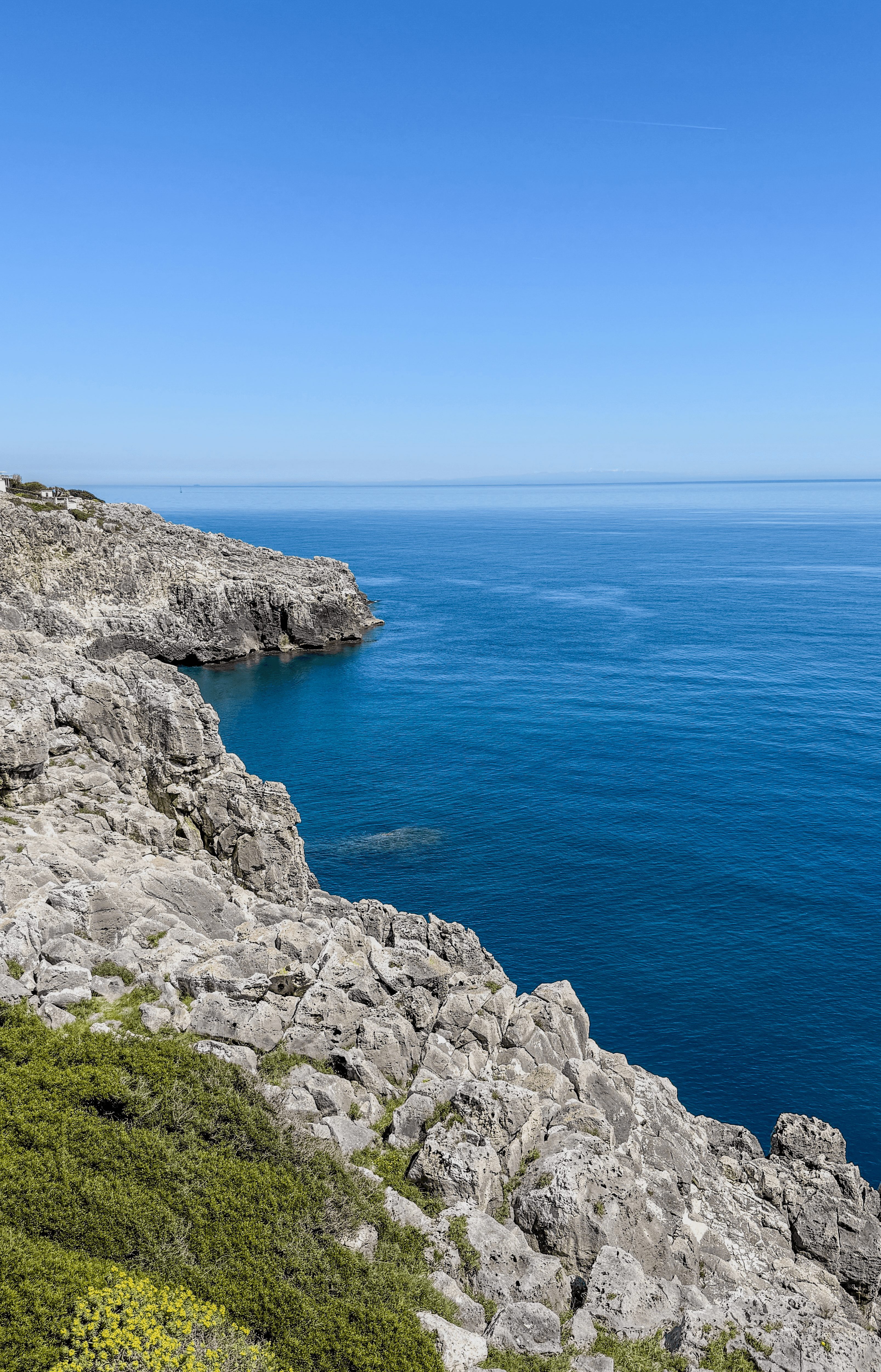 Cliffside overlooking the ocean with clear blue sky and calm water, rocky terrain with green vegetation in foreground.