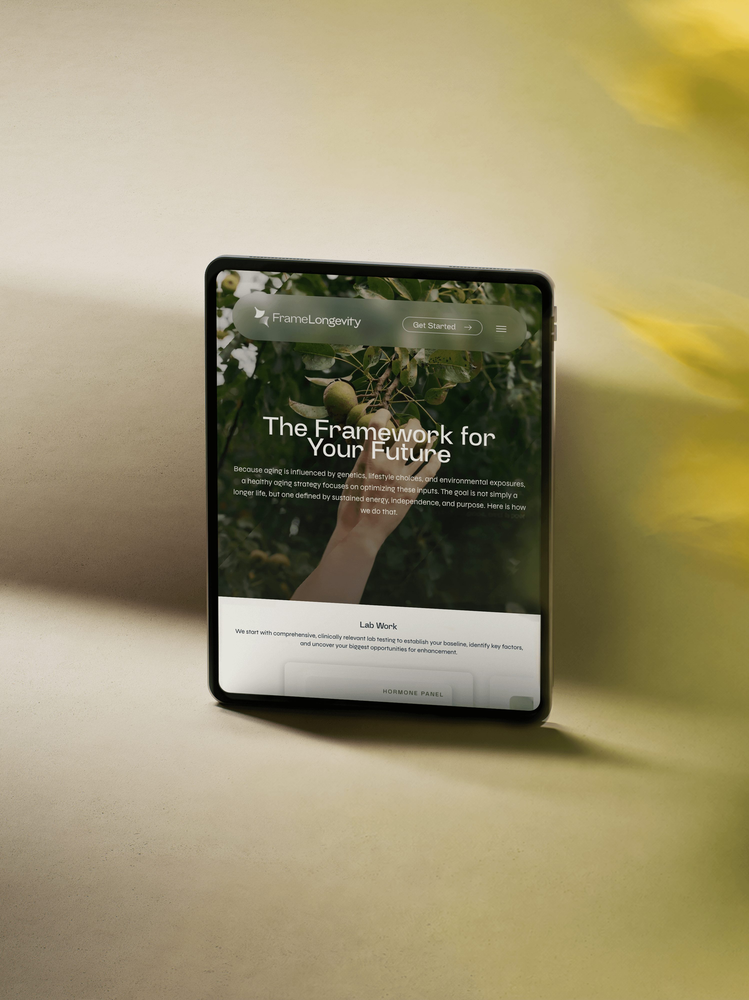 Tablet displaying a website titled 'The Framework for Your Future' with a background of a hand holding a plant.