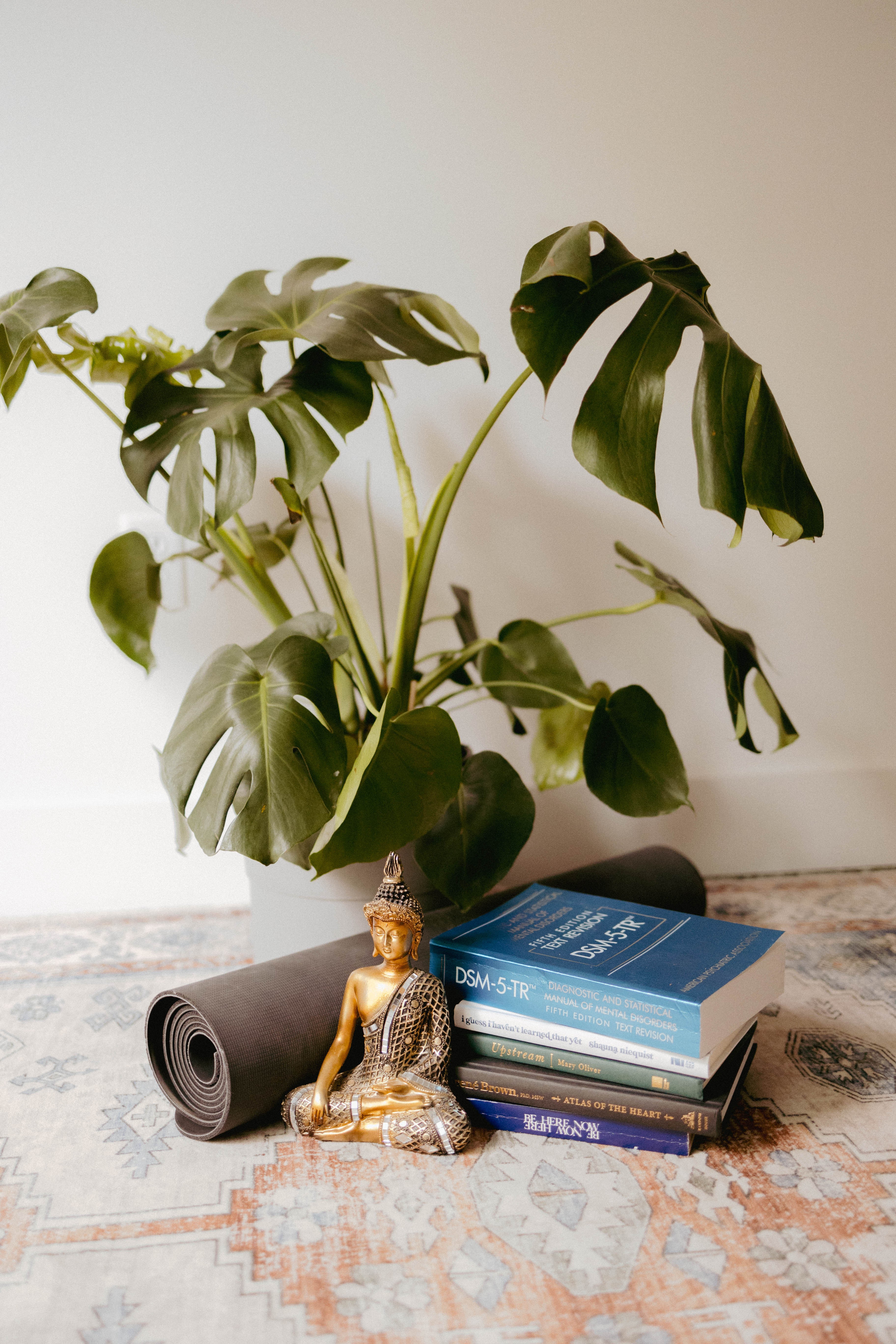 Potted plant with large green leaves, yoga mat, and Buddha statue on a patterned rug against a plain wall.