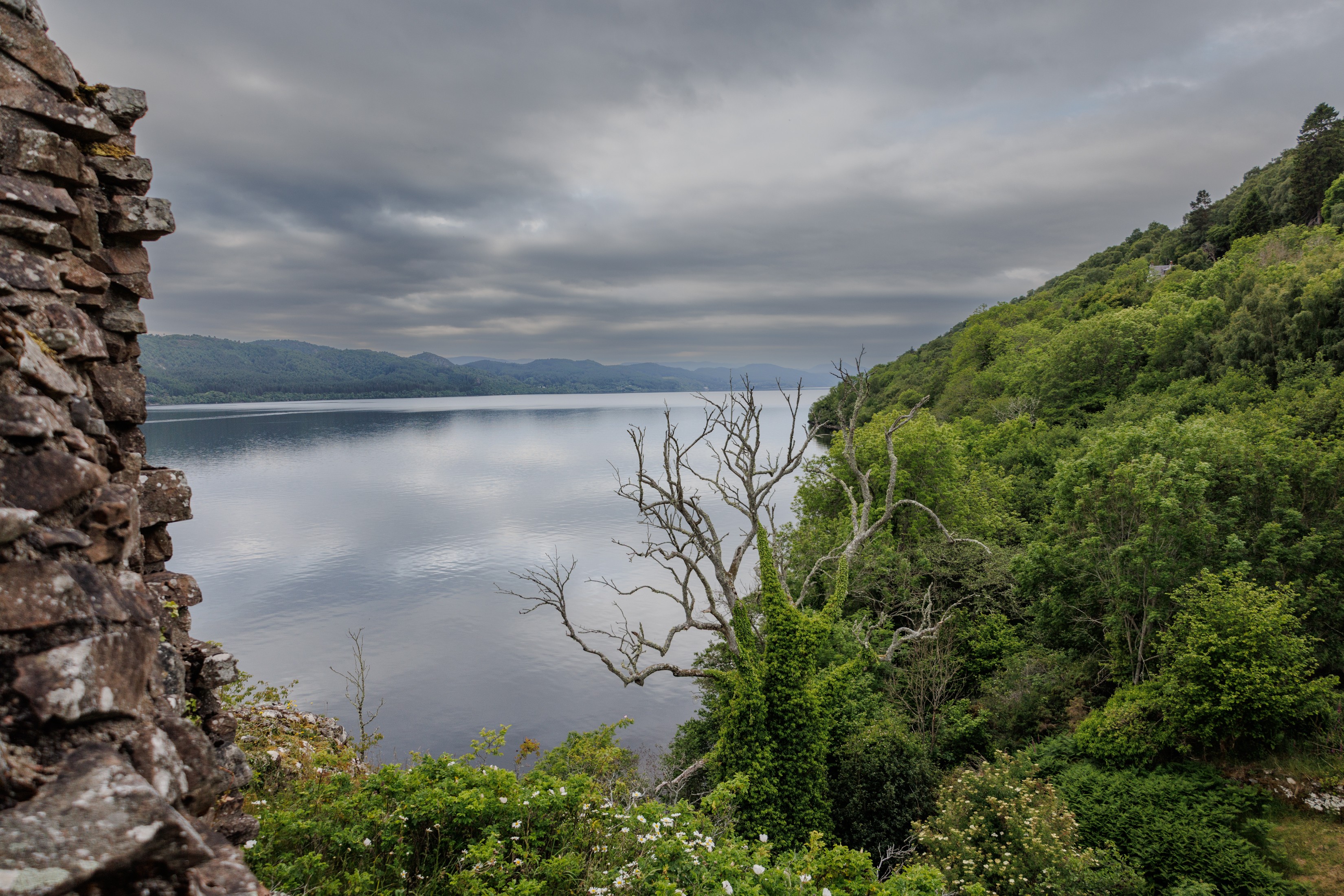 Landscape with a lake, cloudy sky, and green trees on hills, with a leafless tree in the foreground.
