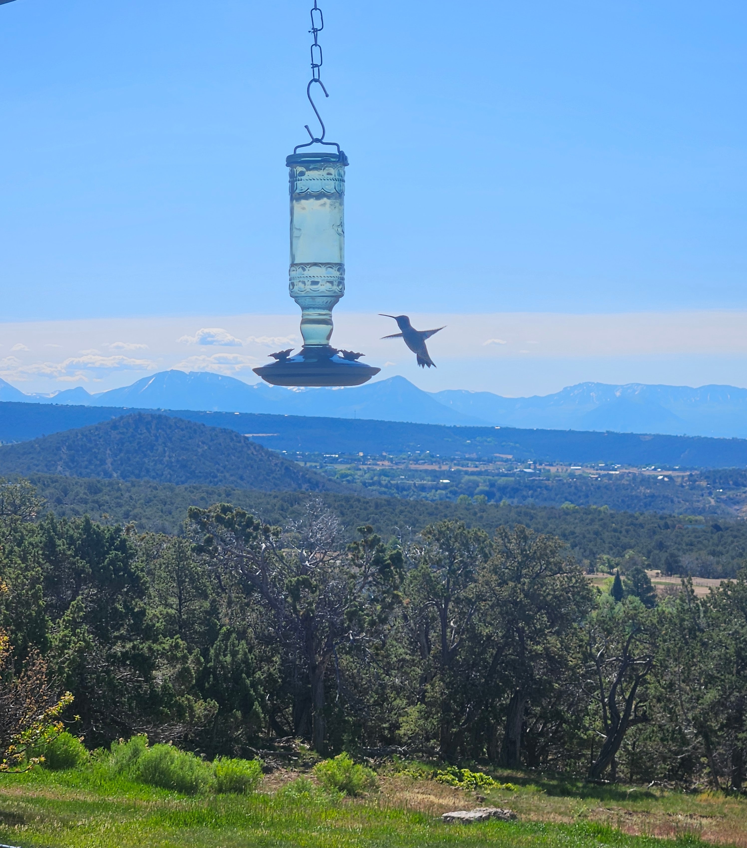 A bird flying near a hanging object in the sky over a landscape with trees and mountains.
