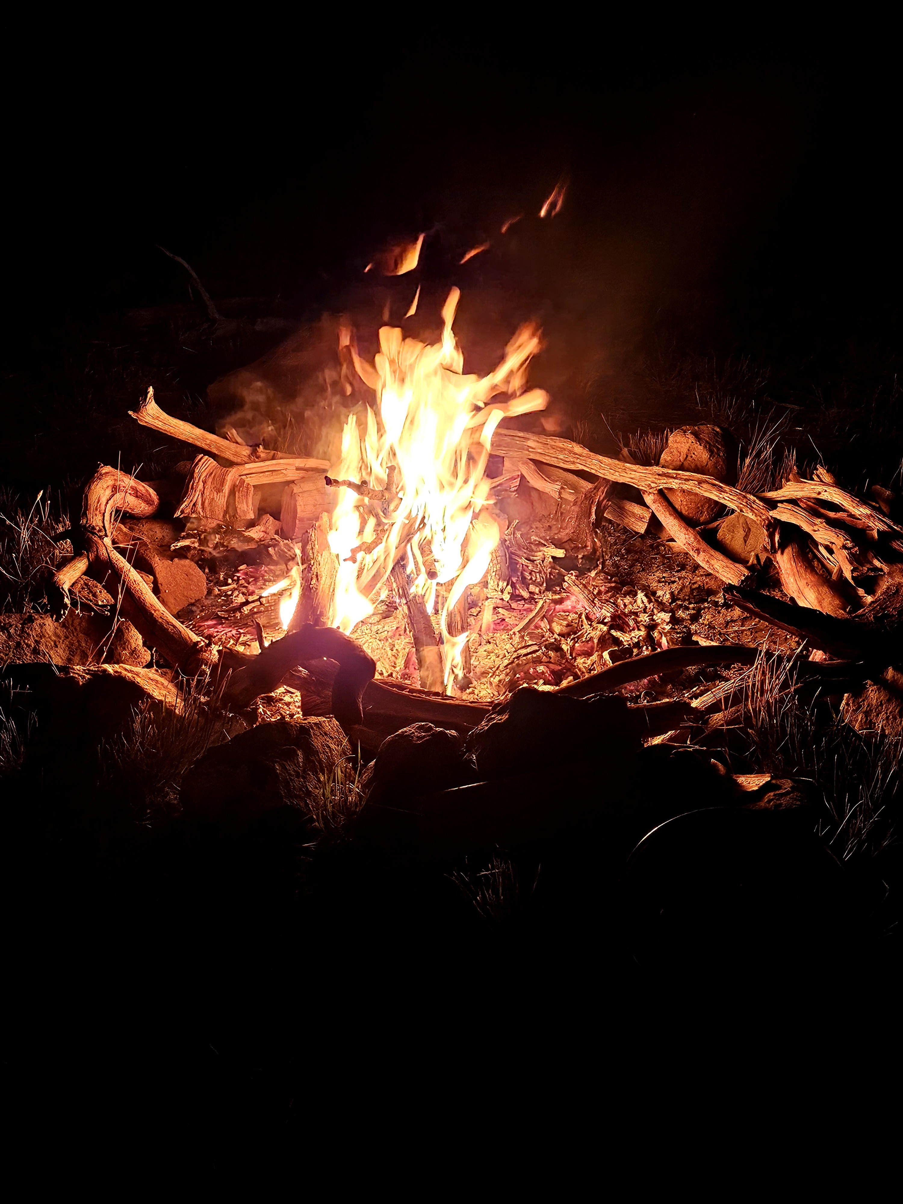 Campfire with flames and logs burning in a dark outdoor setting.