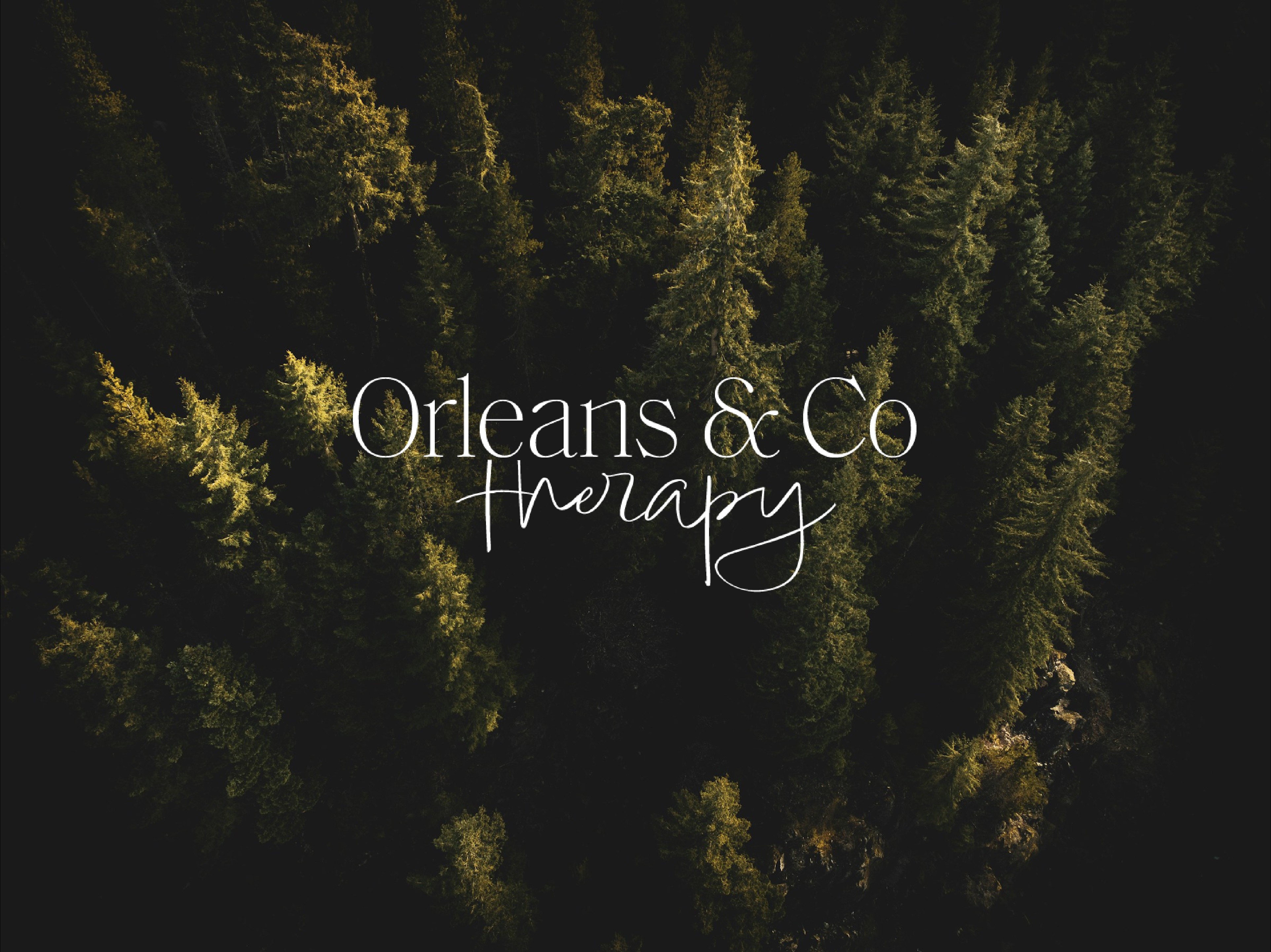 Aerial view of a dense forest with tall trees and sunlight filtering through, with text 'Orleans & Co therapy' overlaid.