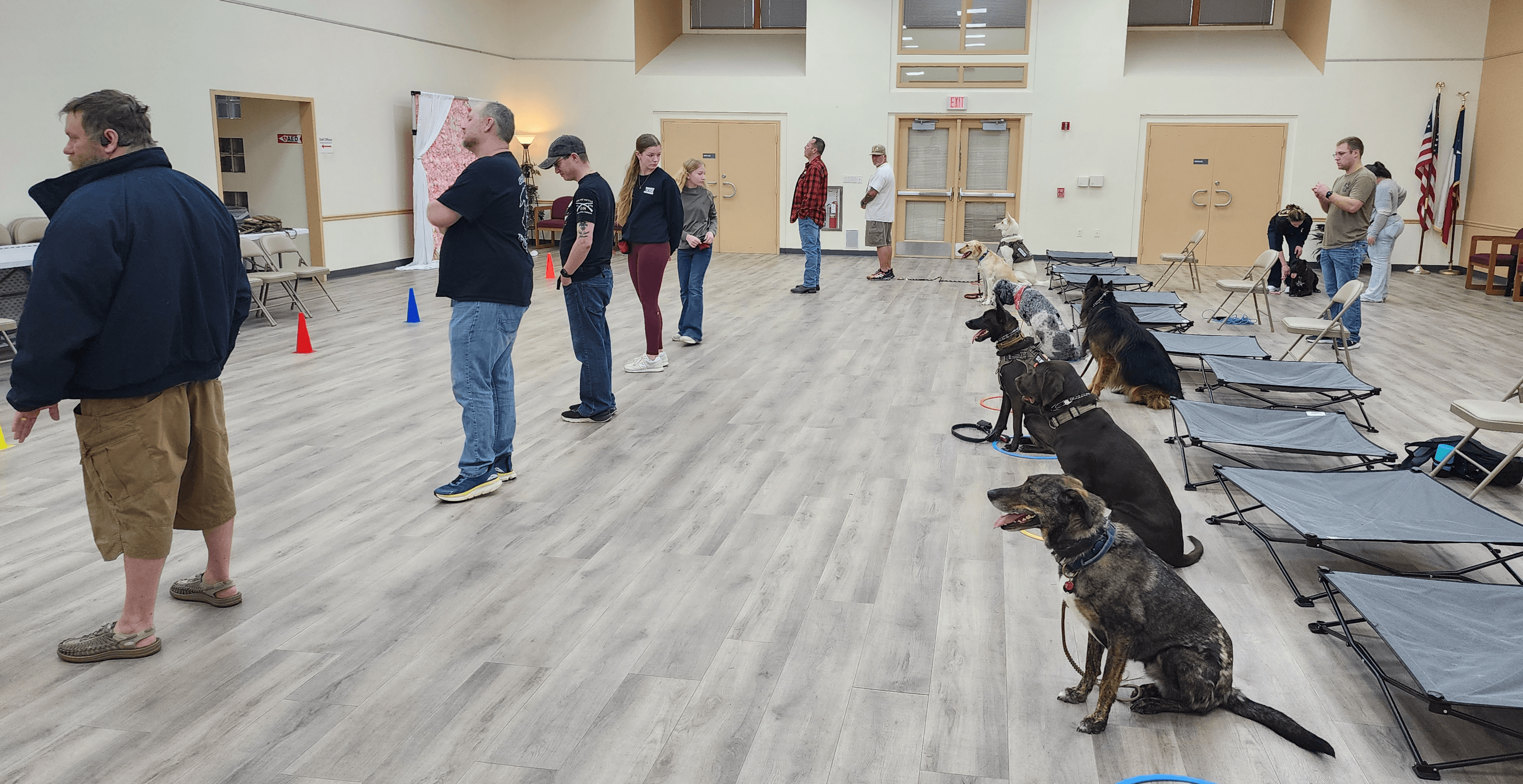 People and dogs in a spacious indoor room with chairs, cones, and flags, some people standing and others sitting.