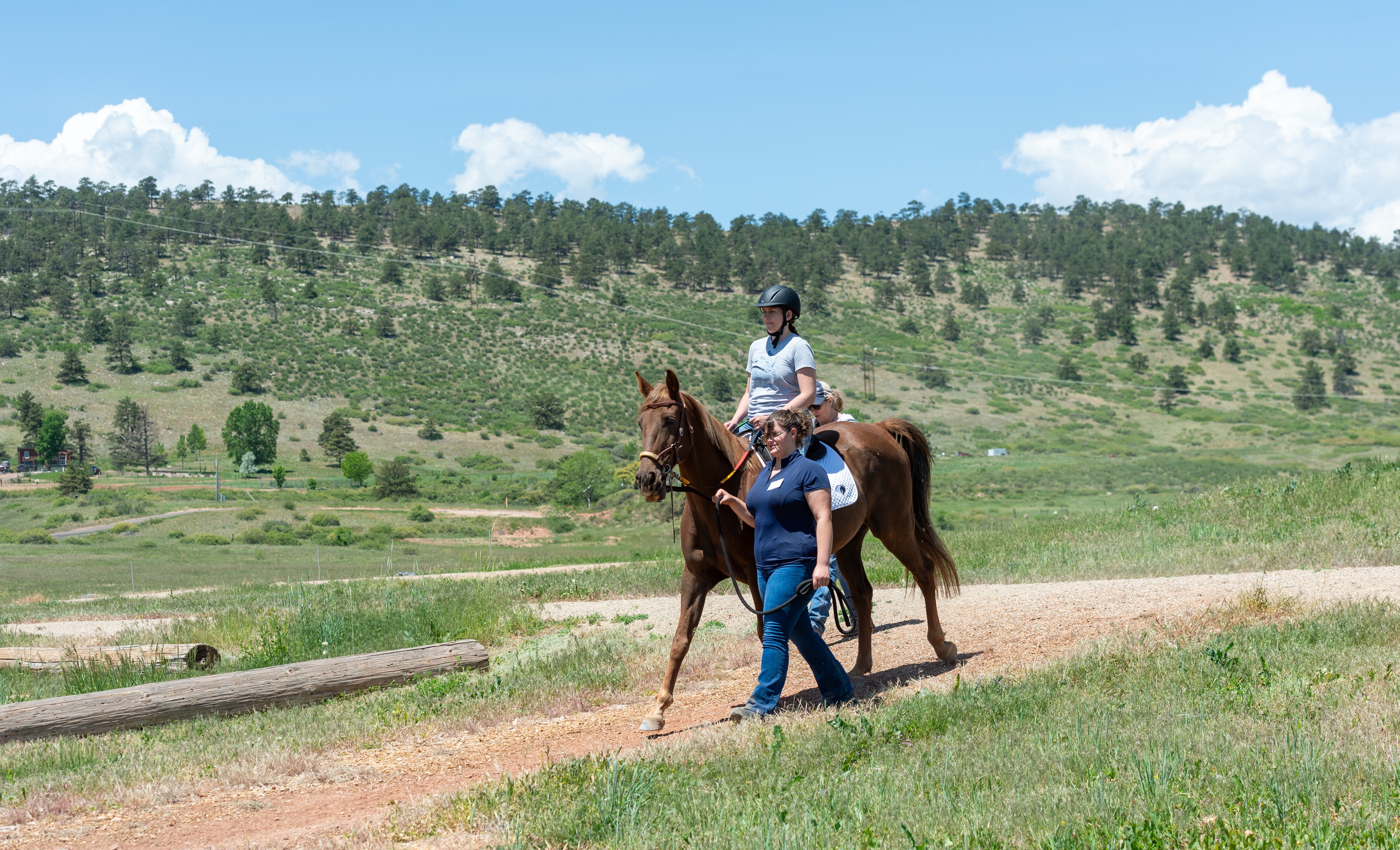 Person riding a horse on a dirt path with another person walking beside them, in a grassy landscape with hills and trees.