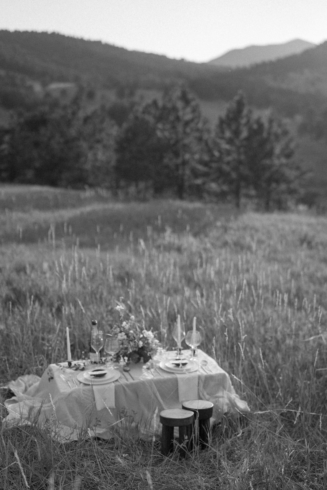 A table set for outdoor dining in a grassy field with trees and mountains in the background, black and white.
