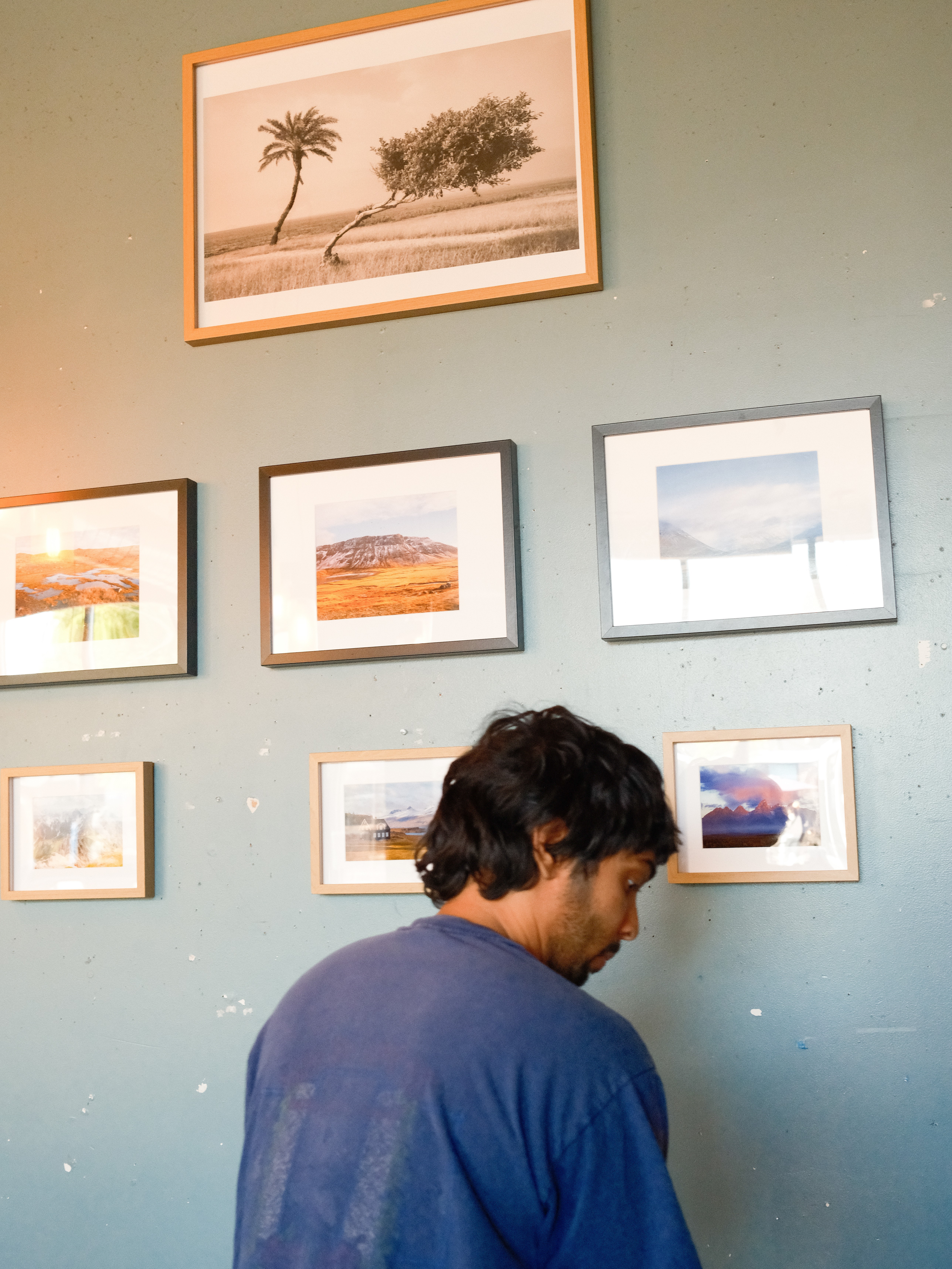 Man with dark hair and blue shirt looking at framed photographs on a green wall.
