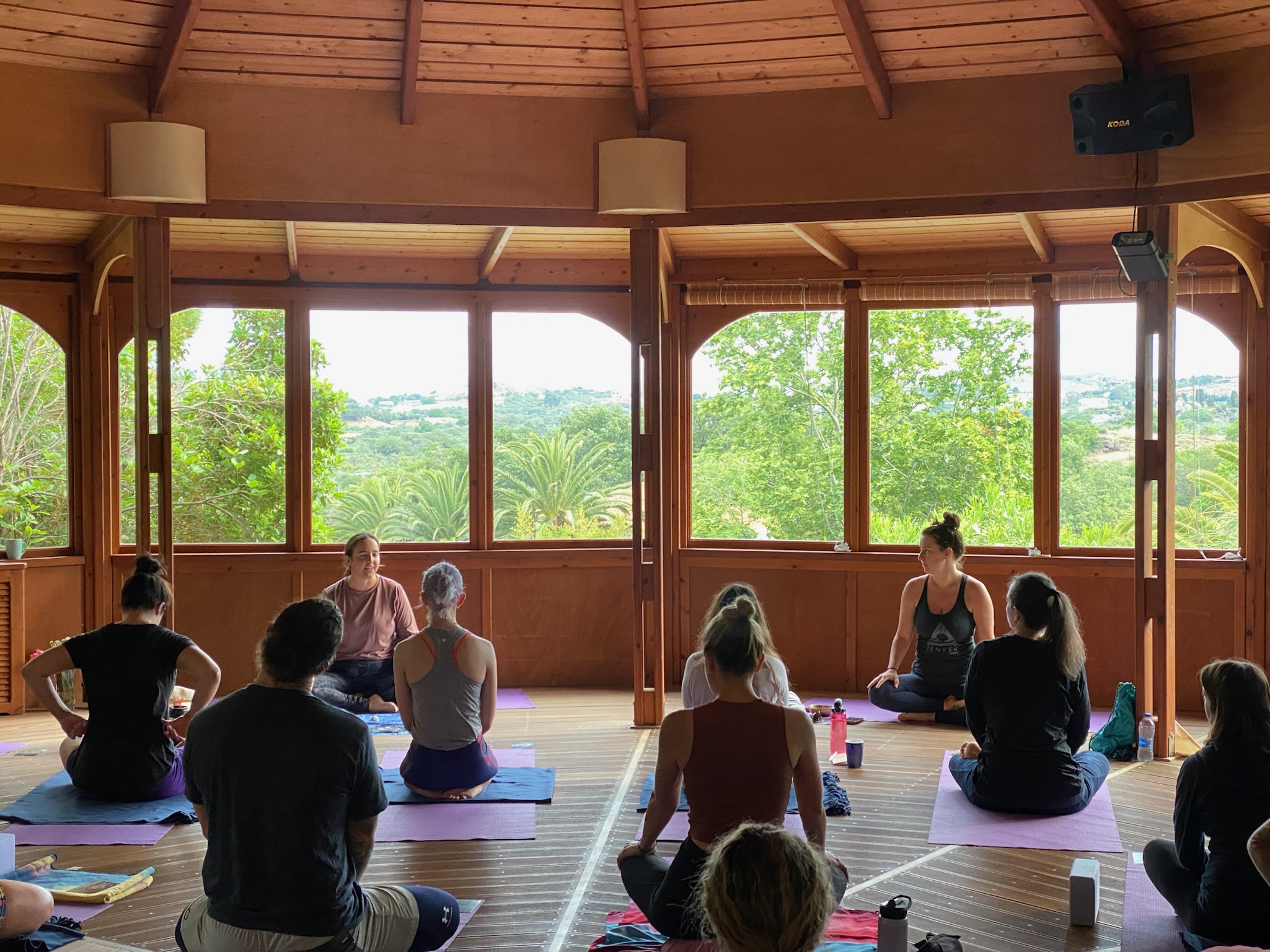 People practicing yoga or meditation in a wooden room with large windows and green trees outside.