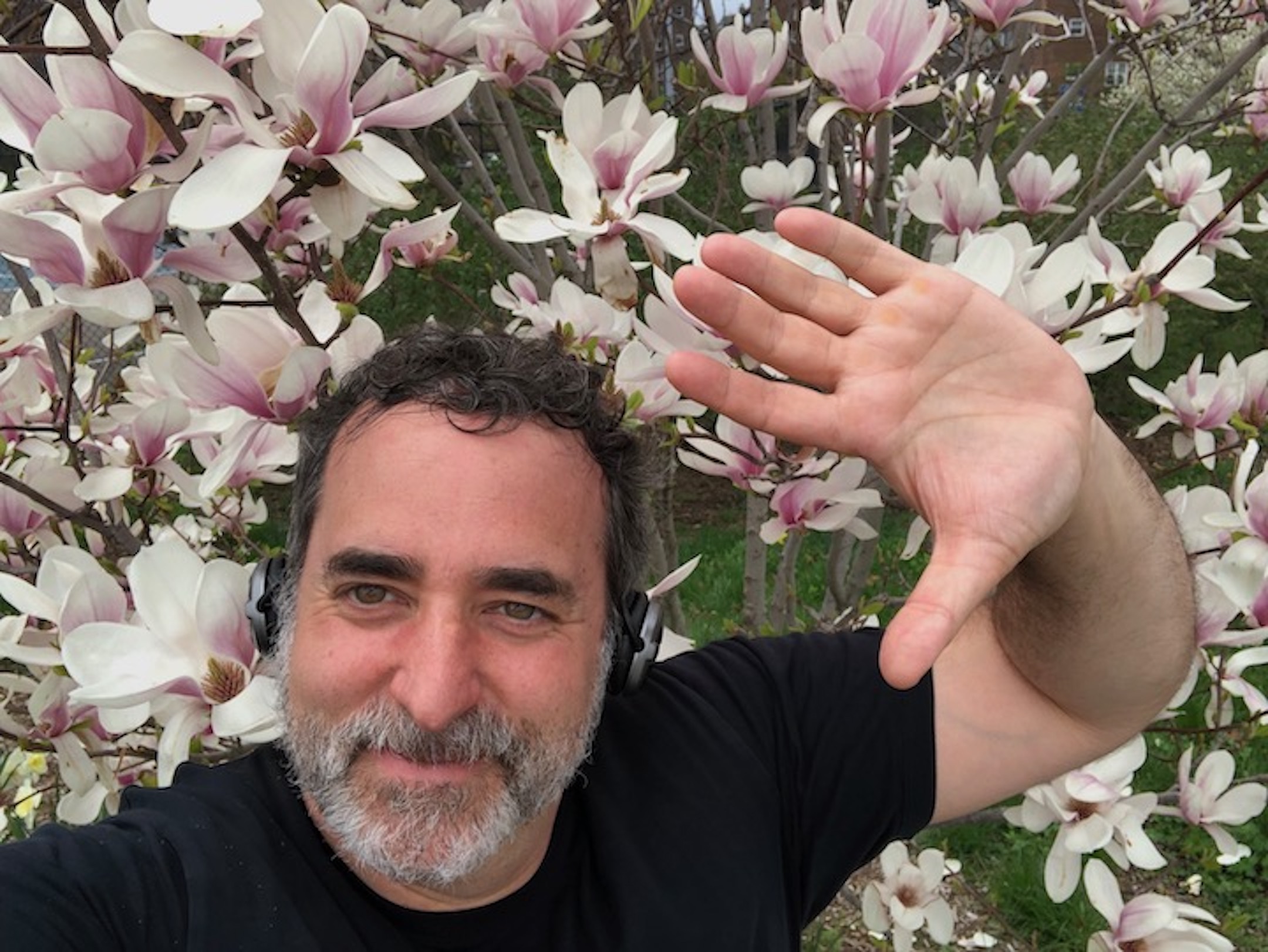 Man with a beard and headset waving in front of blooming magnolia flowers.