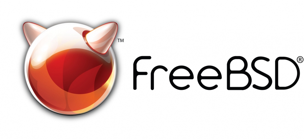 FreeBSD logo with a stylized orange and white cat head and the text 'freeBSD'.