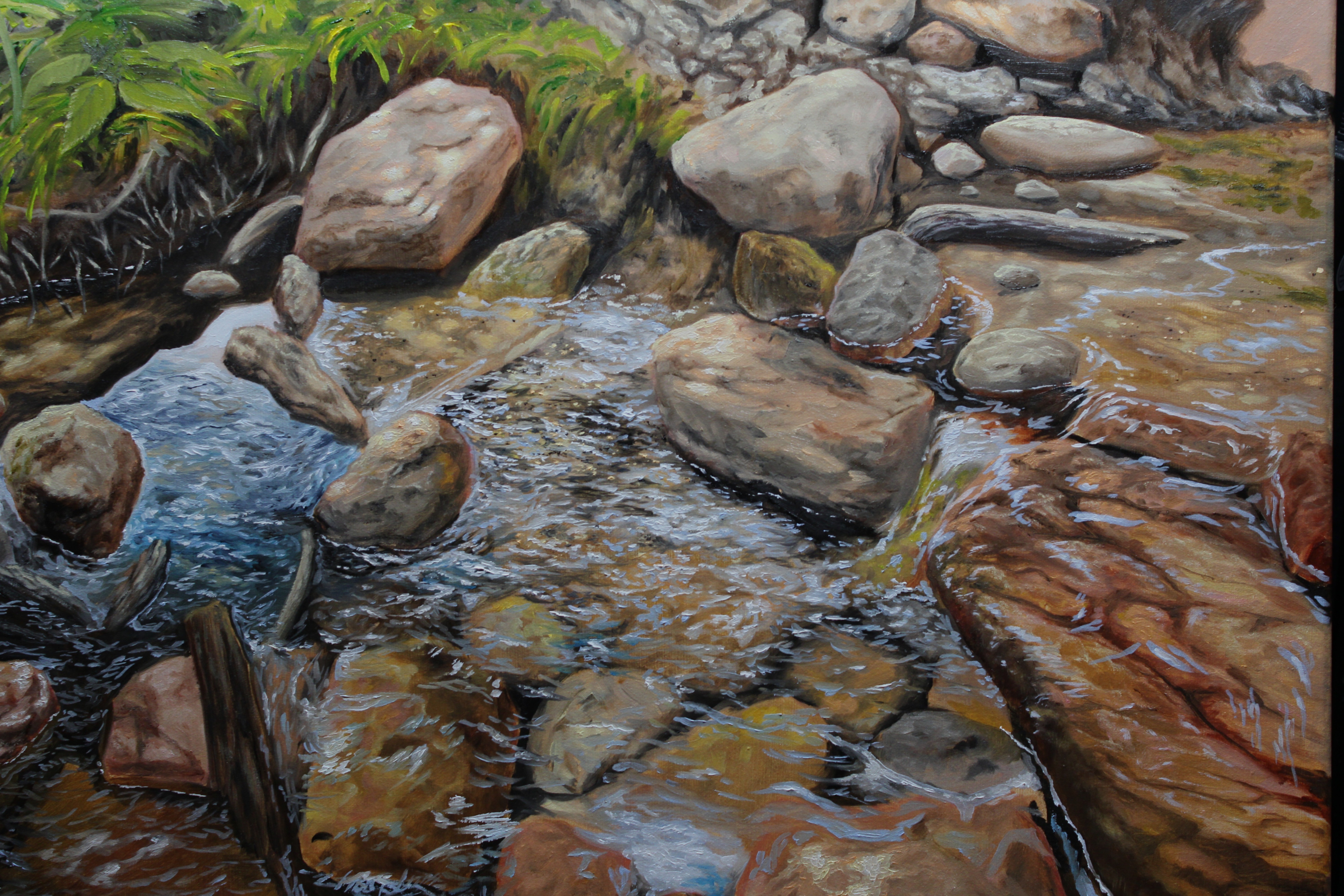 Stream flowing over rocks with greenery in the background, natural outdoor scene, detailed water and stone textures.