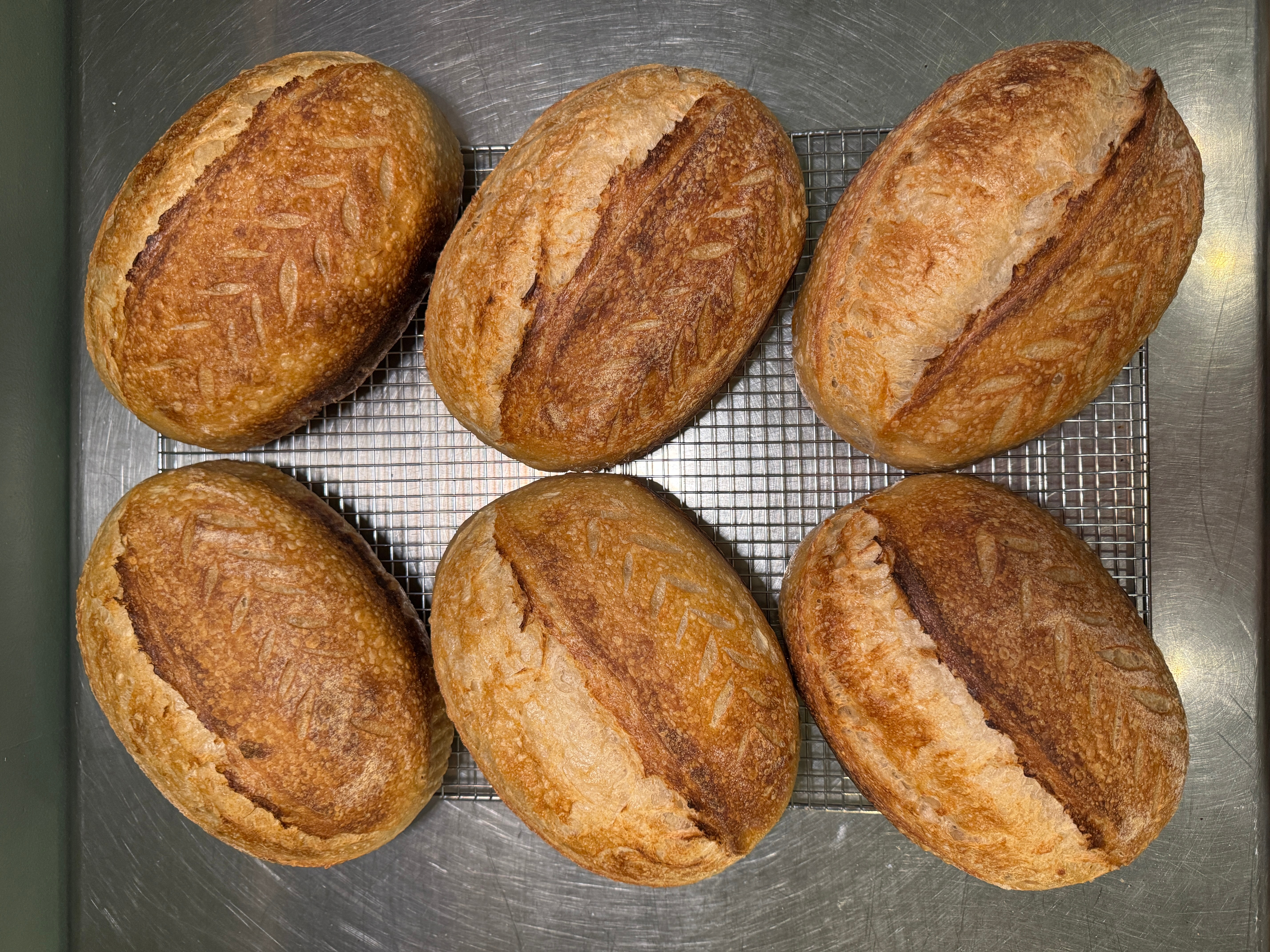 Six baked bread rolls on a wire rack, golden brown crust, arranged in two rows of three.