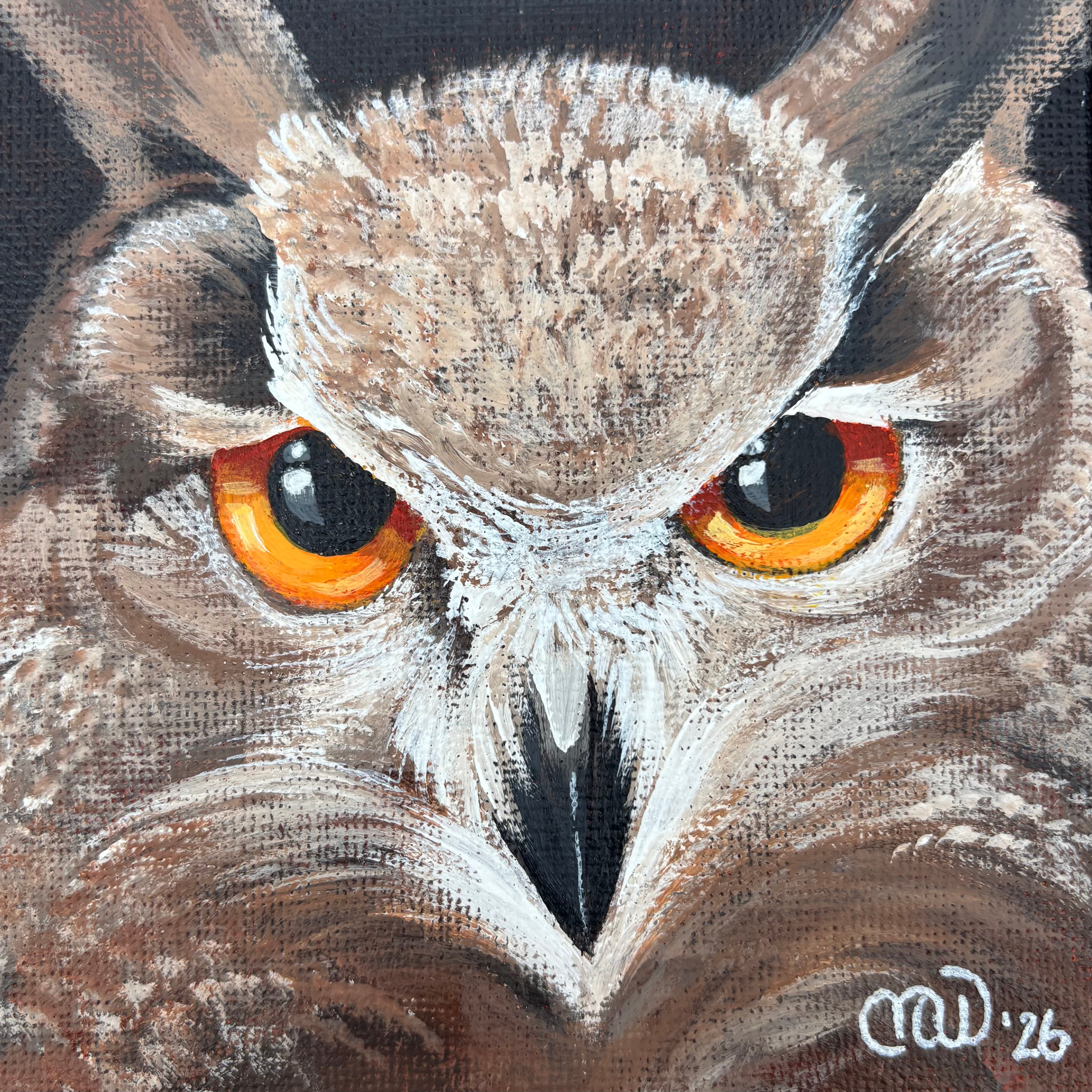 Close-up of an owl's face with orange eyes and detailed feathers, looking directly at the viewer.