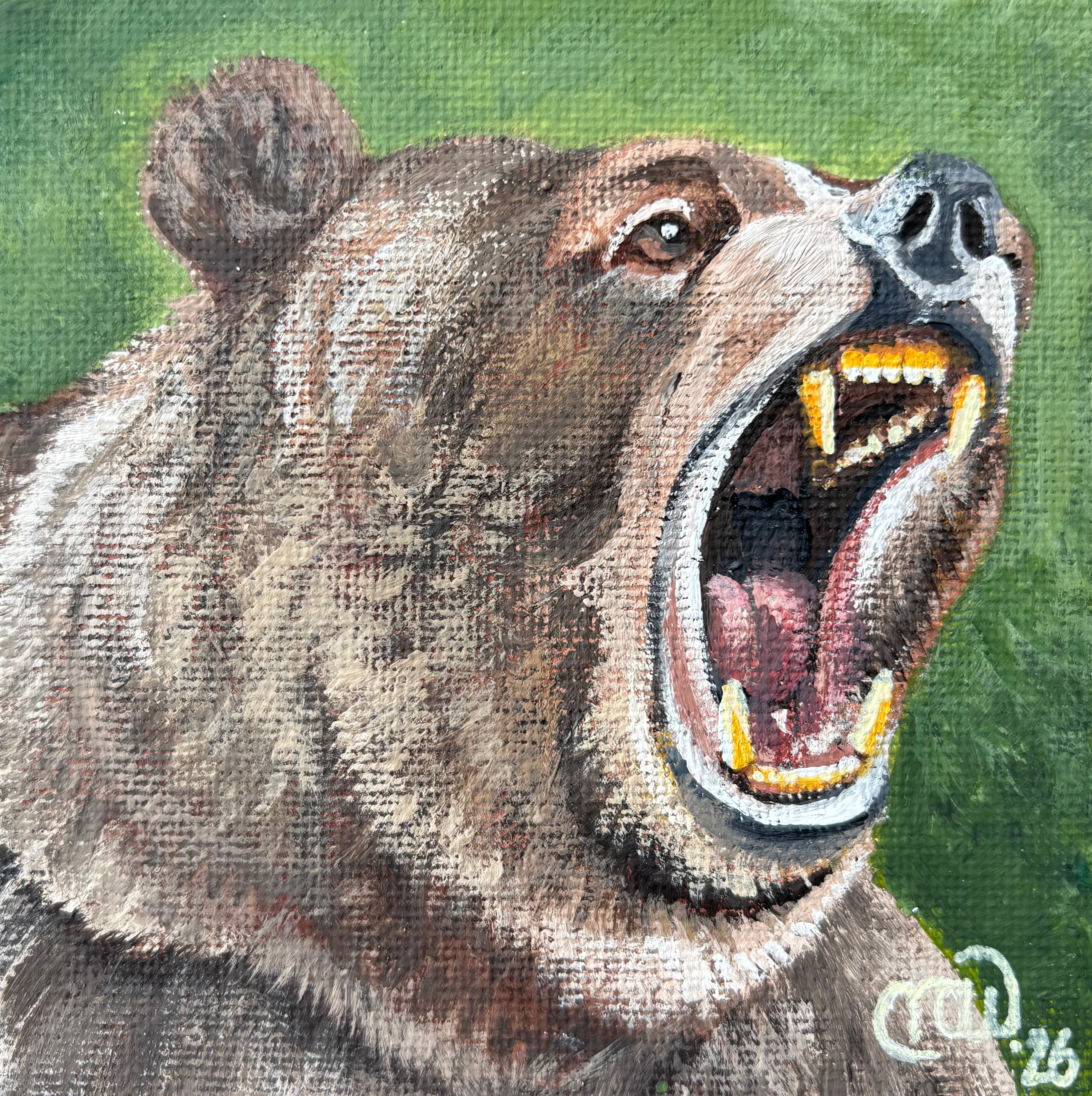A bear with its mouth open, showing teeth, against a green background.