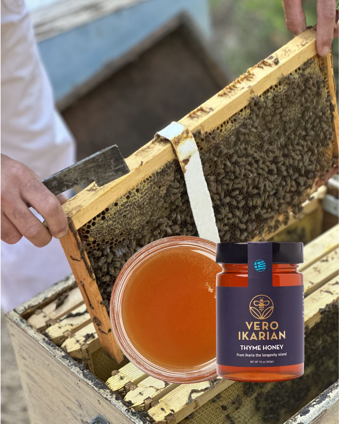 Person inspecting a honeycomb frame with a jar of thyme honey in the foreground.