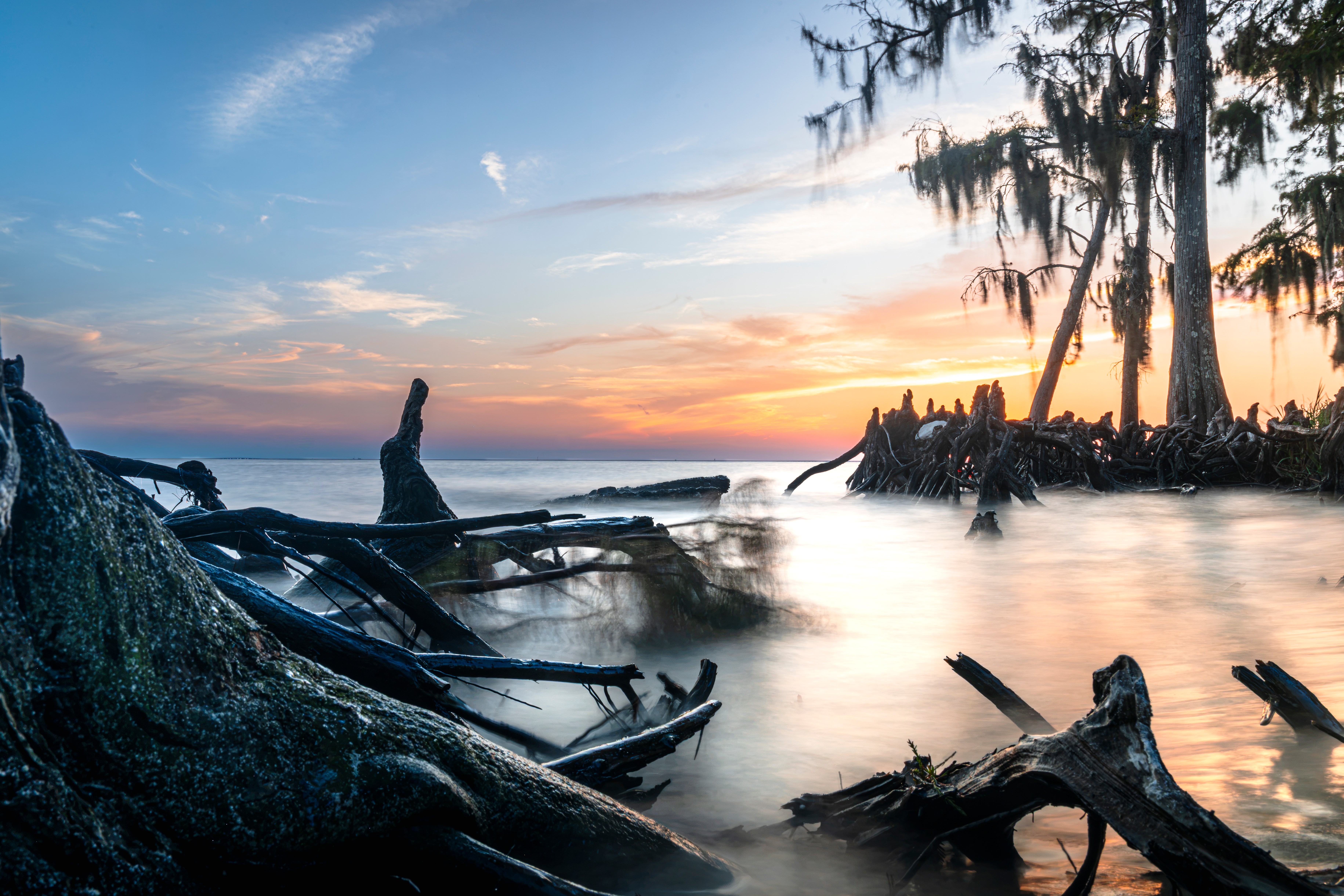 Sunset over a calm body of water with trees and driftwood along the shoreline.