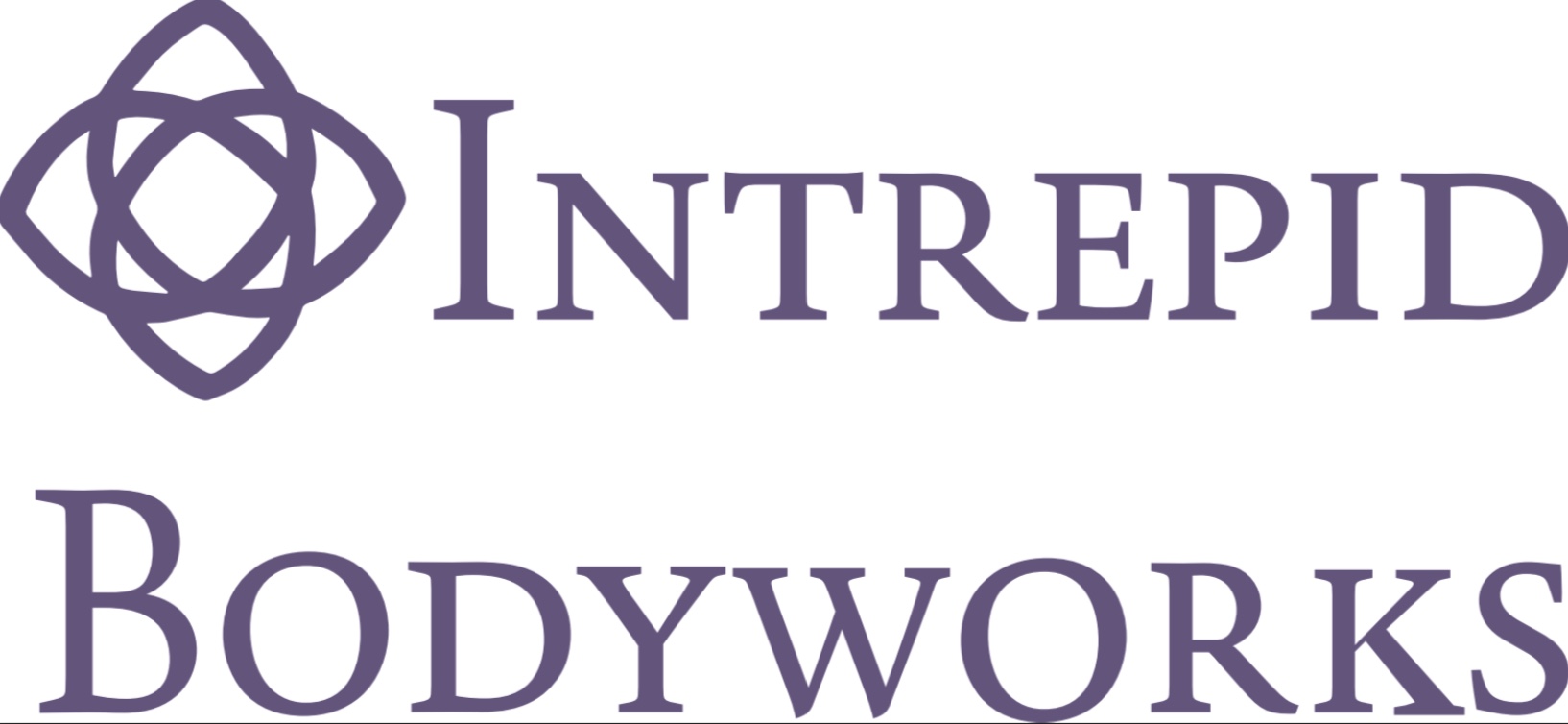 Logo with geometric design and text reading 'Intrepid Bodyworks' in purple.