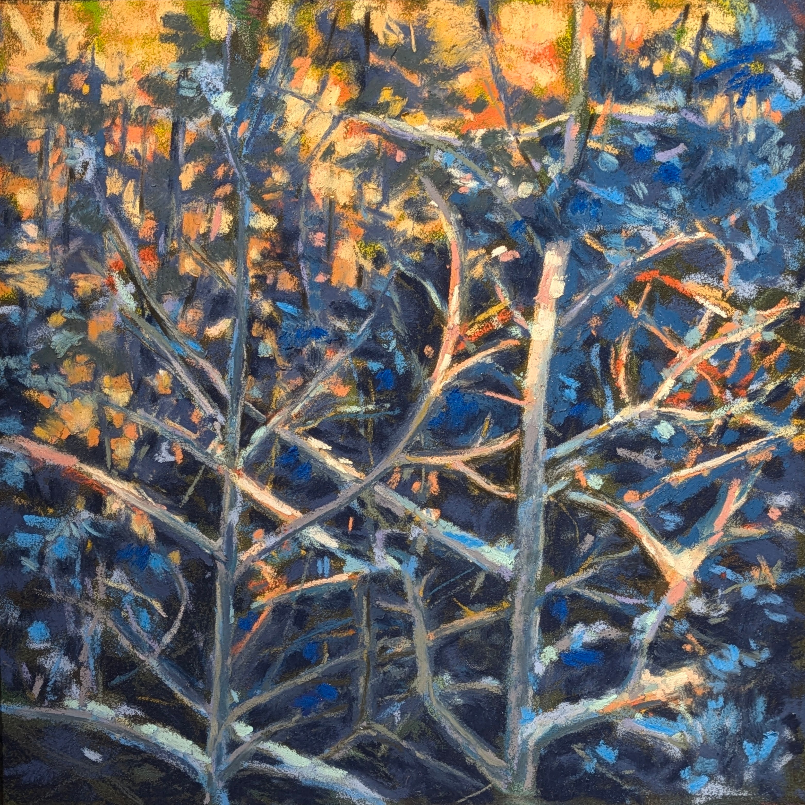 Tree branches with colorful background, painted in an impressionistic style, showing blue, orange, and yellow hues.