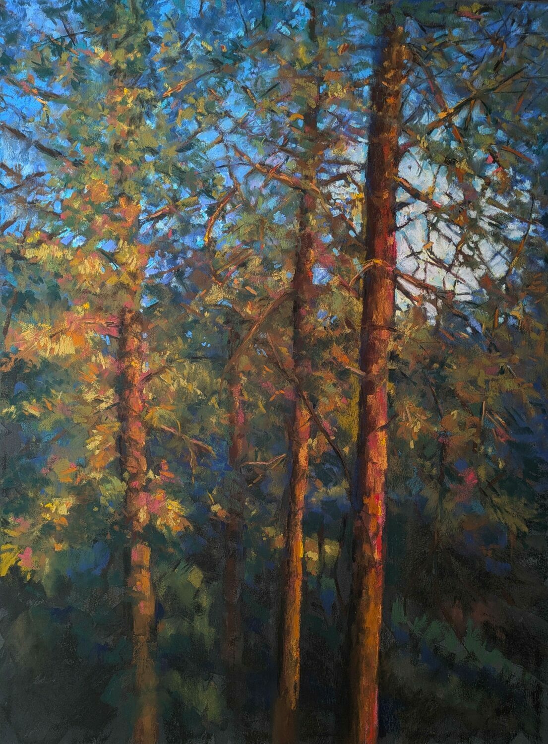 Tall trees with green and orange leaves in a forest scene, blue sky visible through branches.