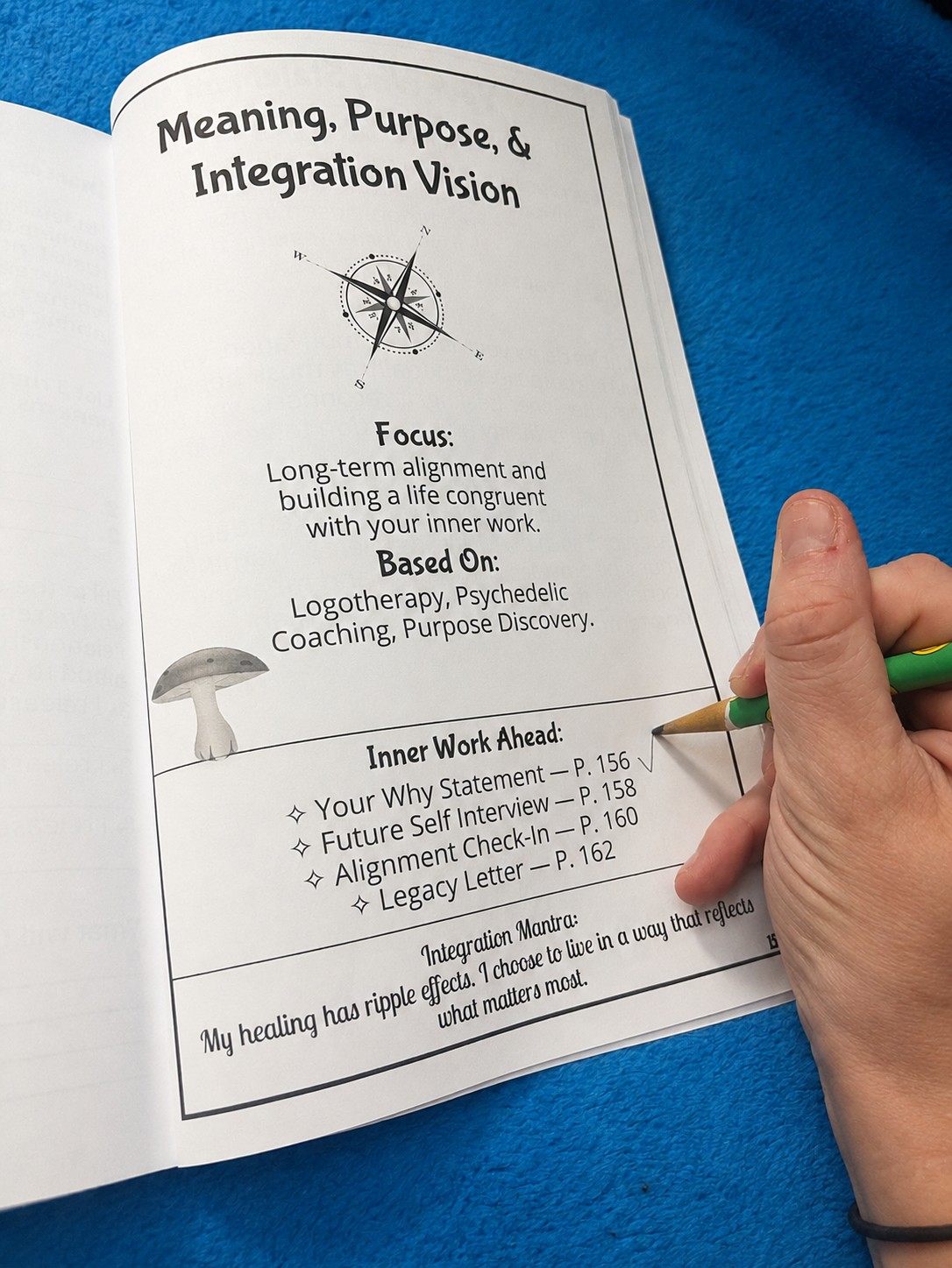 Hand holding a green pen pointing at a page titled 'Meaning, Purpose, & Integration Vision' with text and a compass illustration.