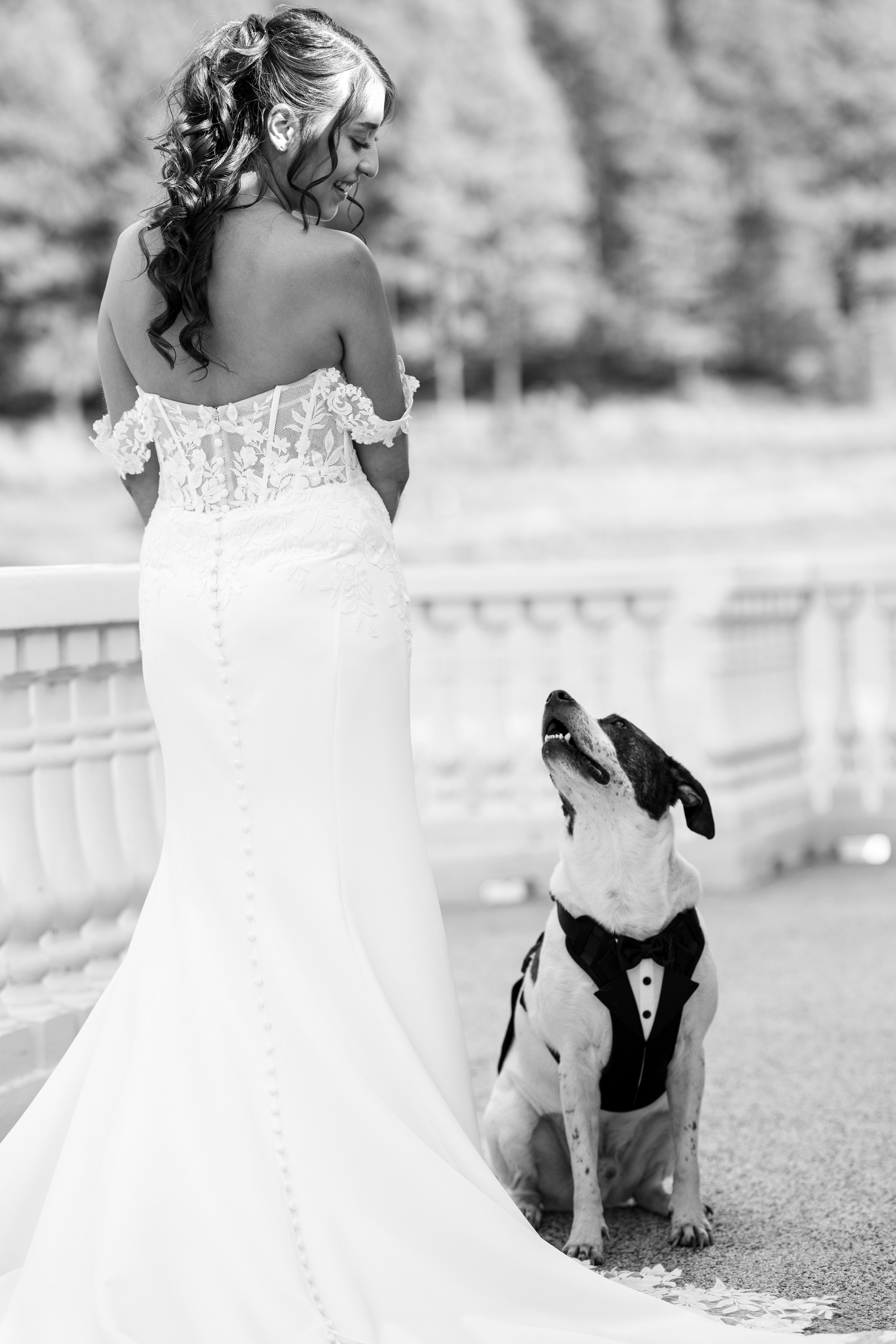 Woman in wedding dress looking away, dog in tuxedo sitting outdoors, trees in background, black and white photo.