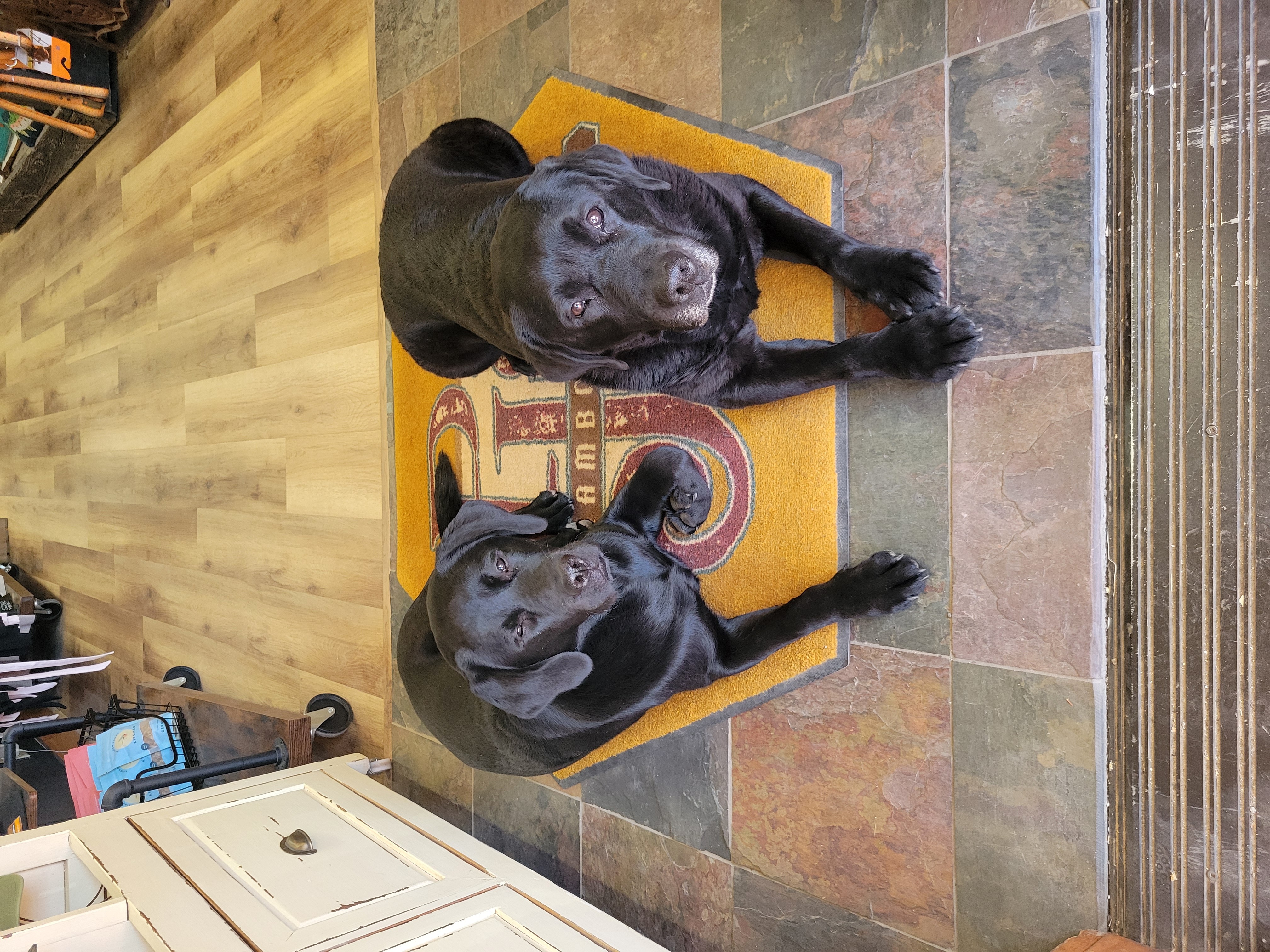 Two black dogs lying on a colorful mat inside a room with wooden and tiled flooring.