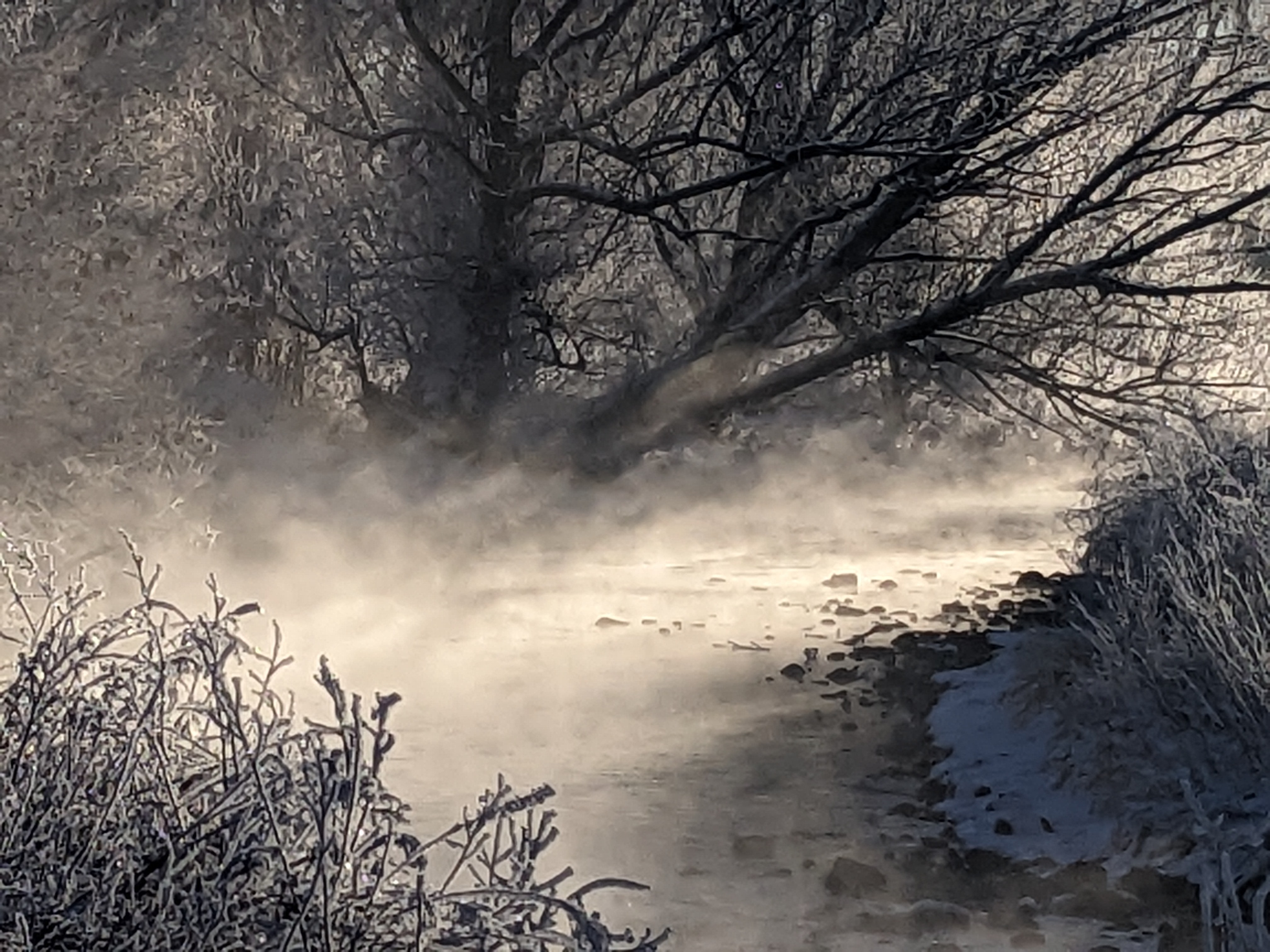 Frosty river with mist and bare trees, winter landscape, snow on ground and branches, overcast sky