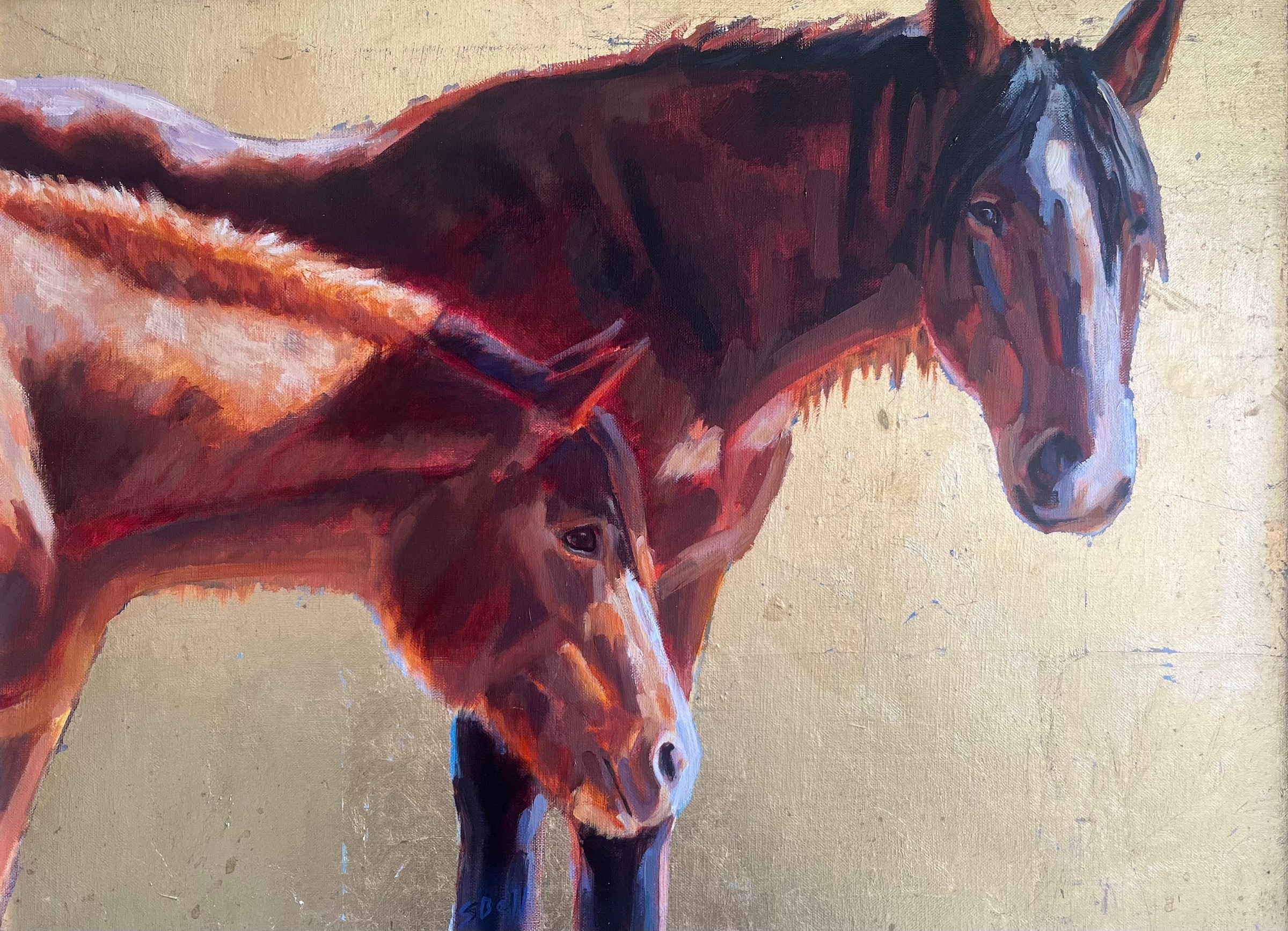 Two horses, one dark and one light, stand close together against a plain background.