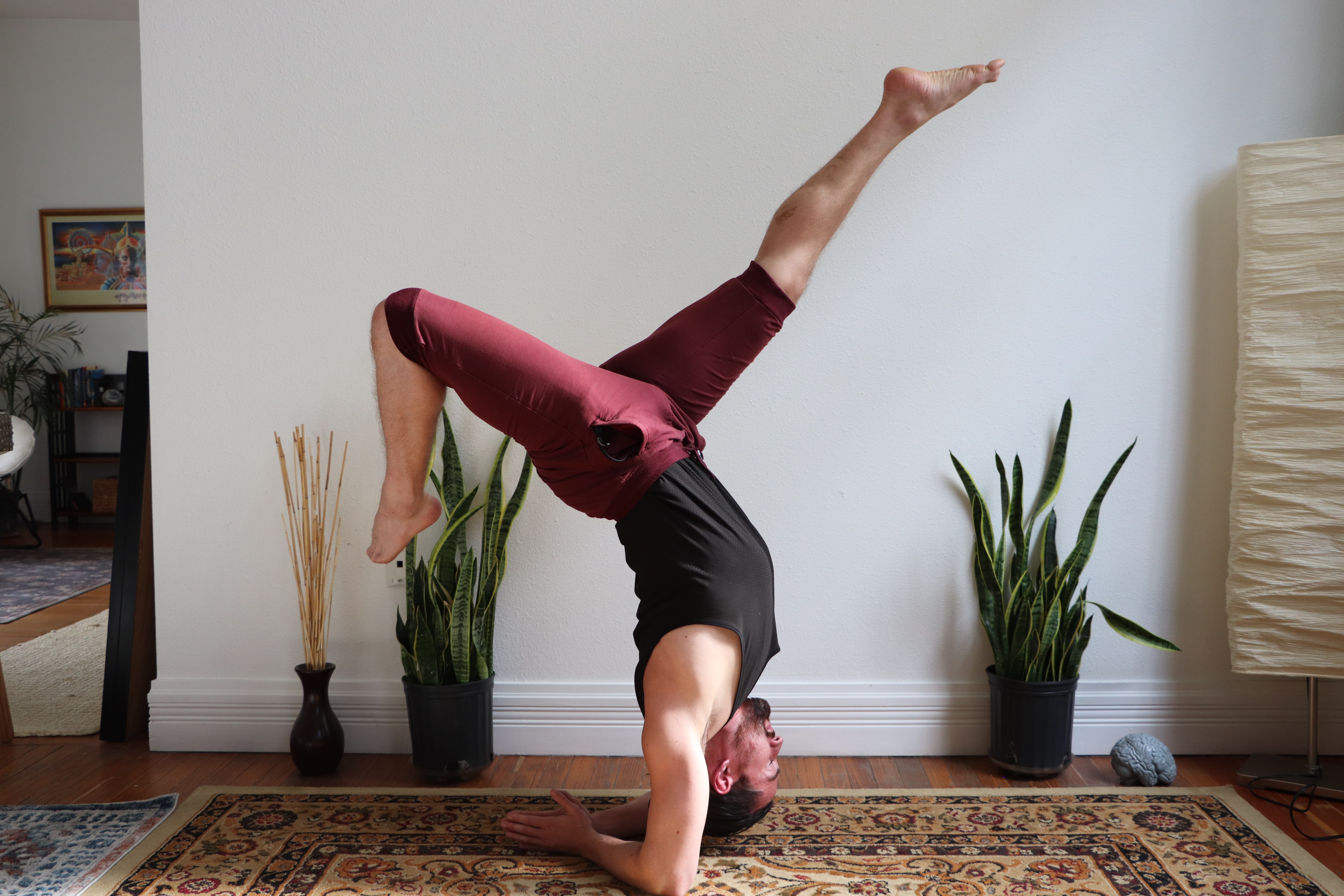 Person performing a headstand with legs extended, indoors with potted plants and a patterned rug visible.