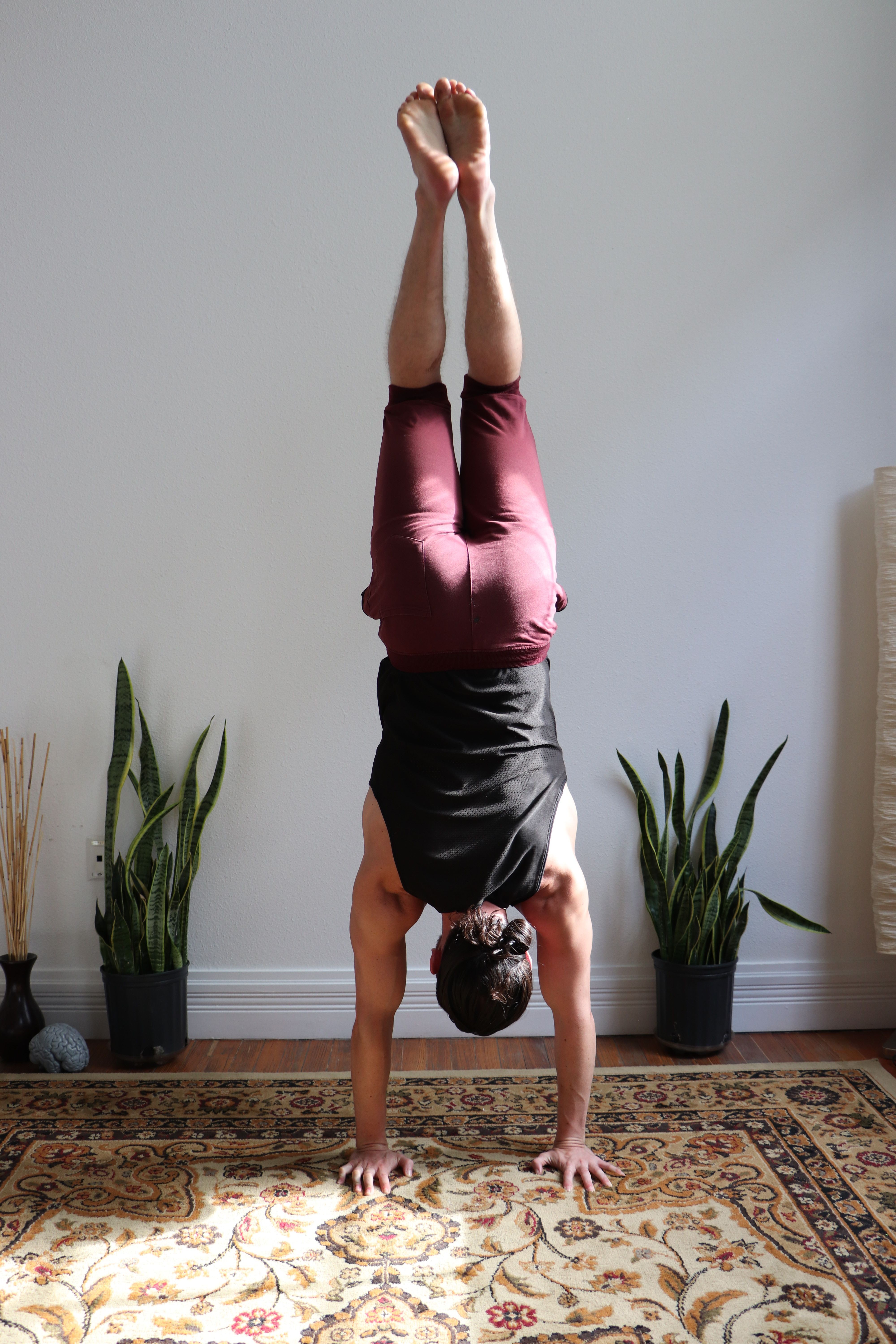 Person performing a handstand against a white wall, with plants and a patterned rug nearby.
