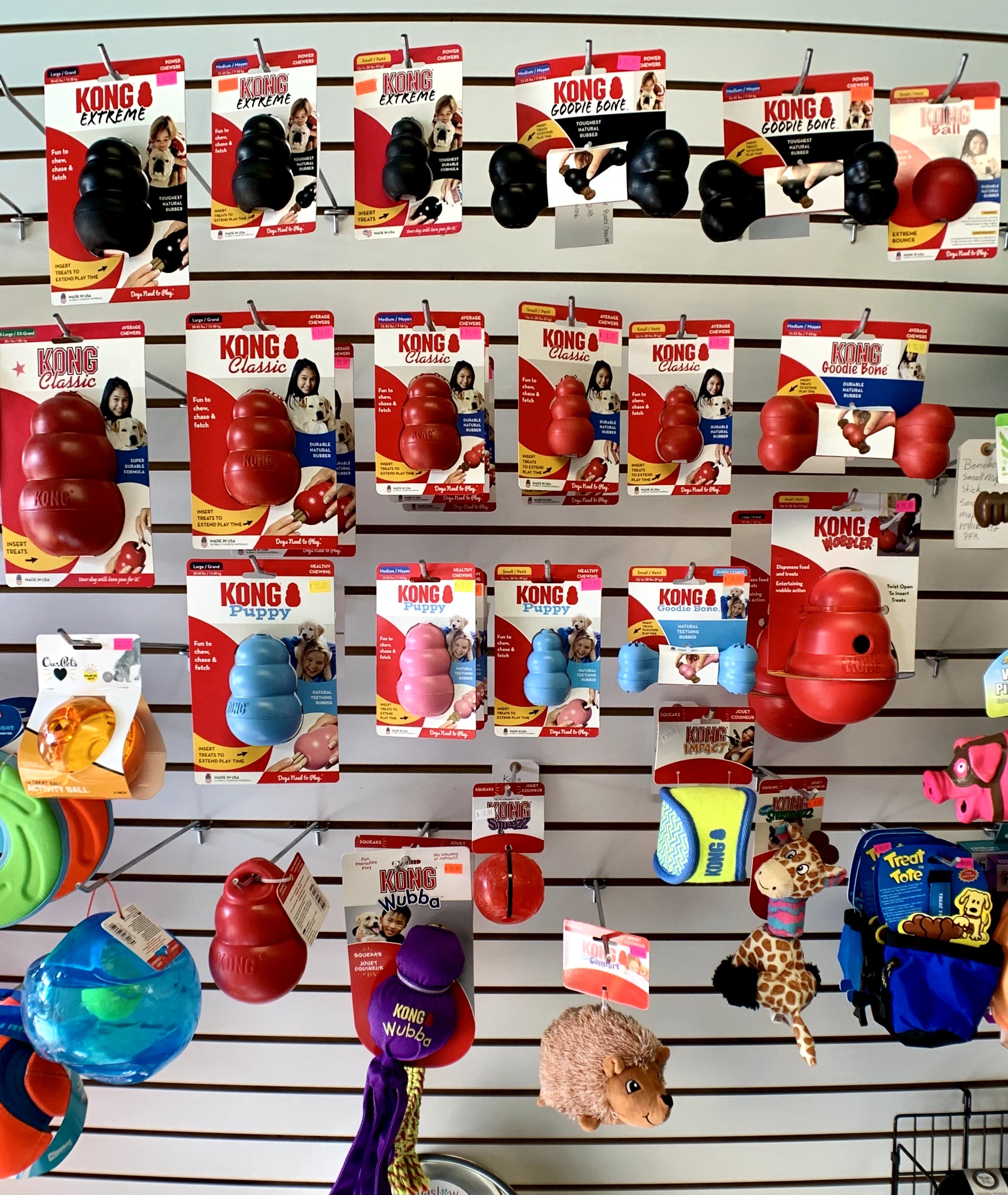 Display of various KONG dog toys on a wall, including balls, plush toys, and rubber toys in different colors and sizes.
