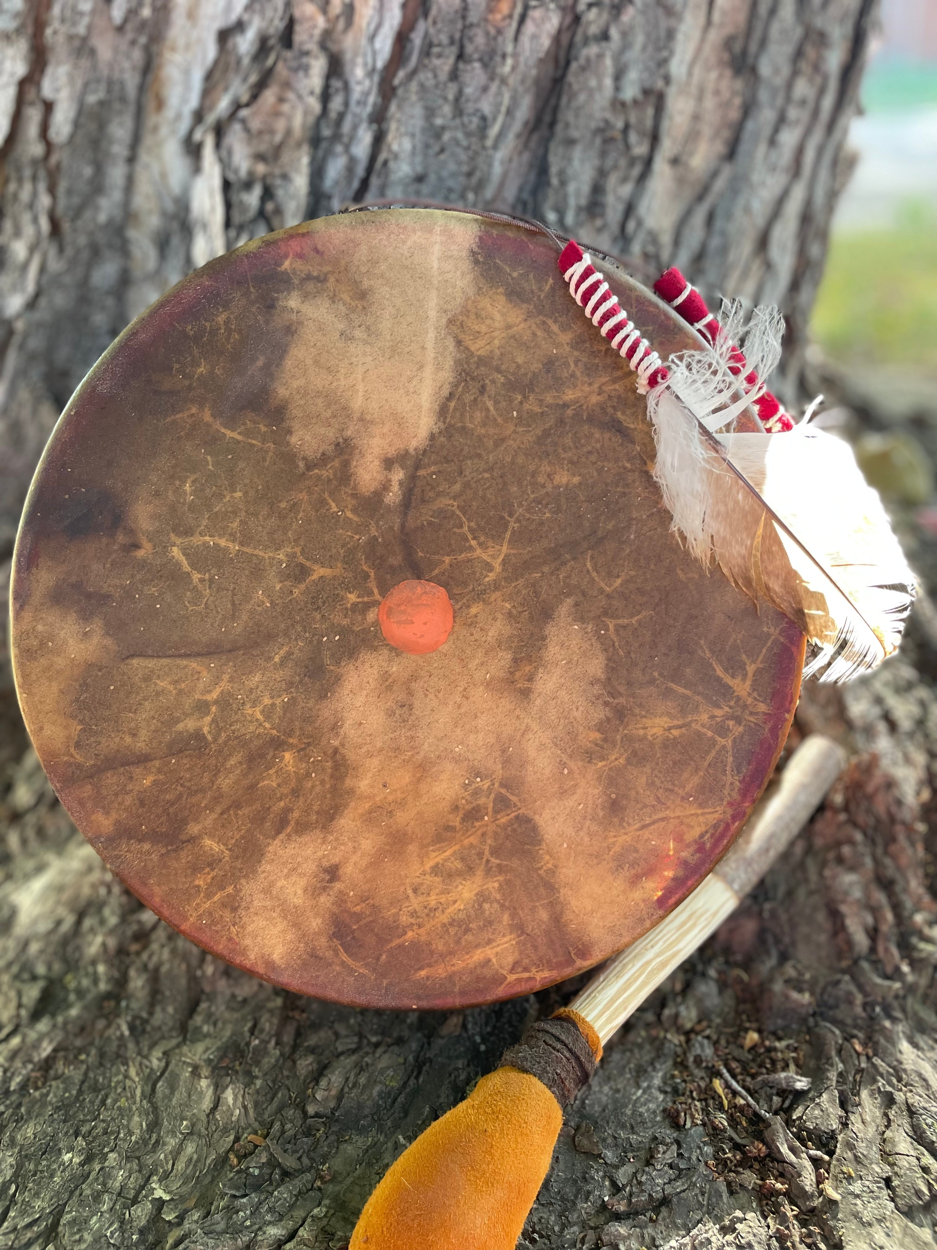 A wooden drum with a feather and decorative items leaning against a tree trunk.