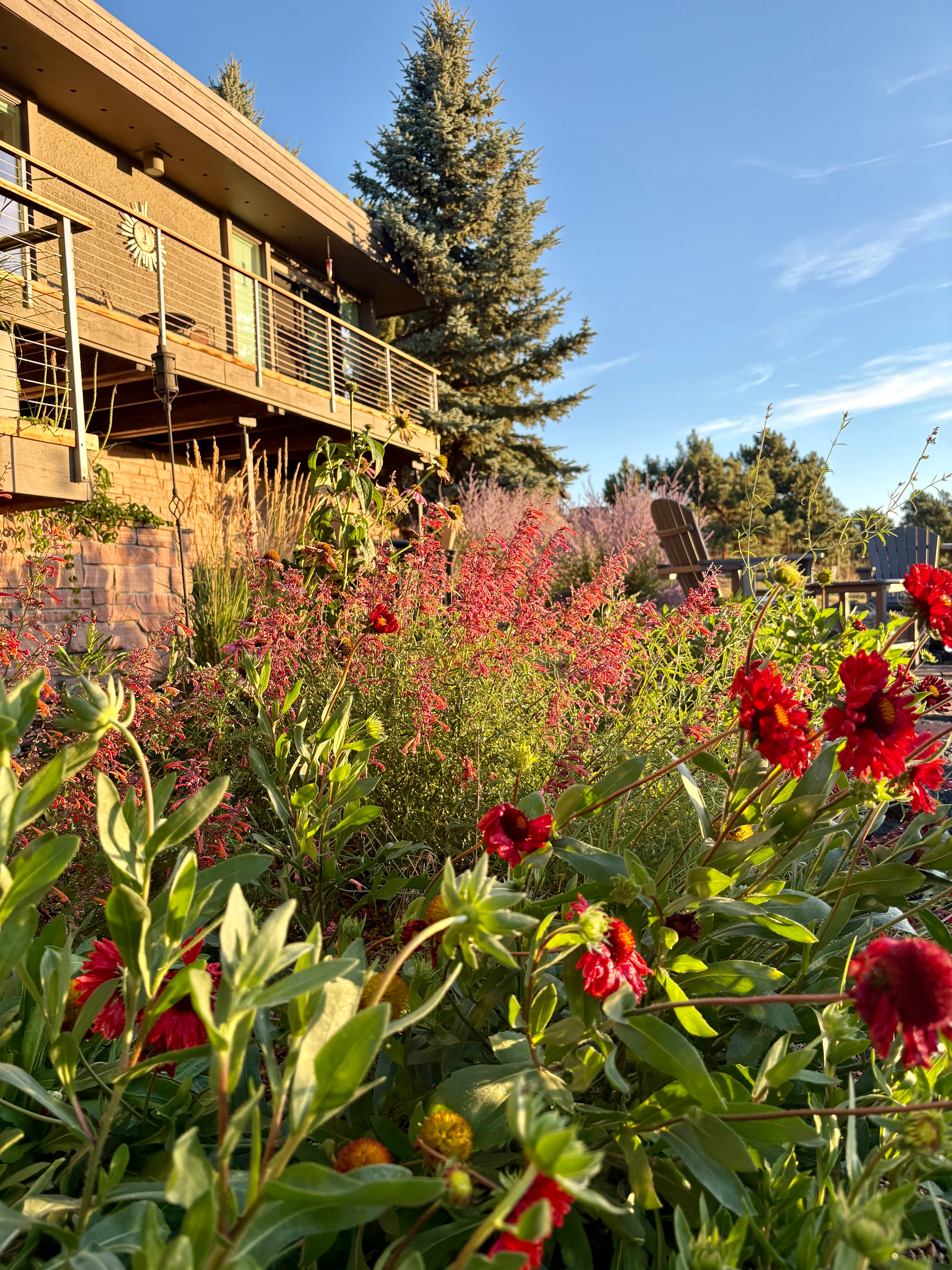 Garden with red flowers and green foliage in front of a house with a balcony, under a blue sky.
